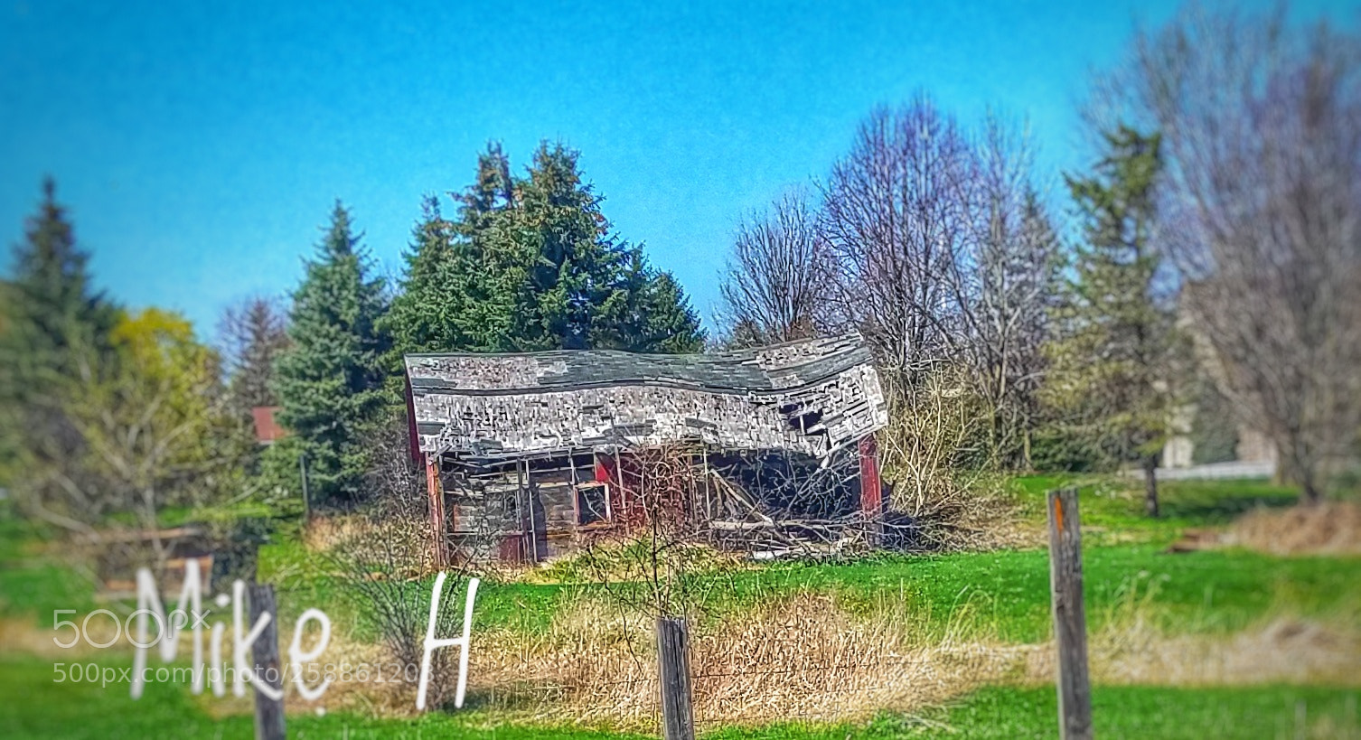 Samsung Galaxy S7 sample photo. Still standing! photography