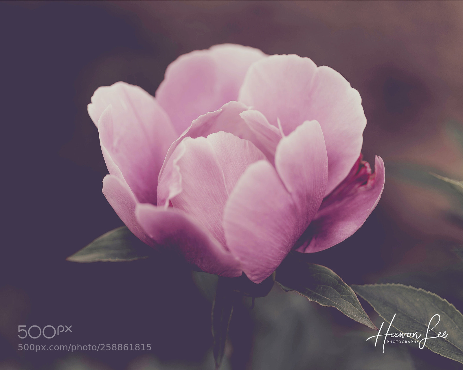 Canon EOS 6D sample photo. ᶠᴼᴿ ᵁ photography