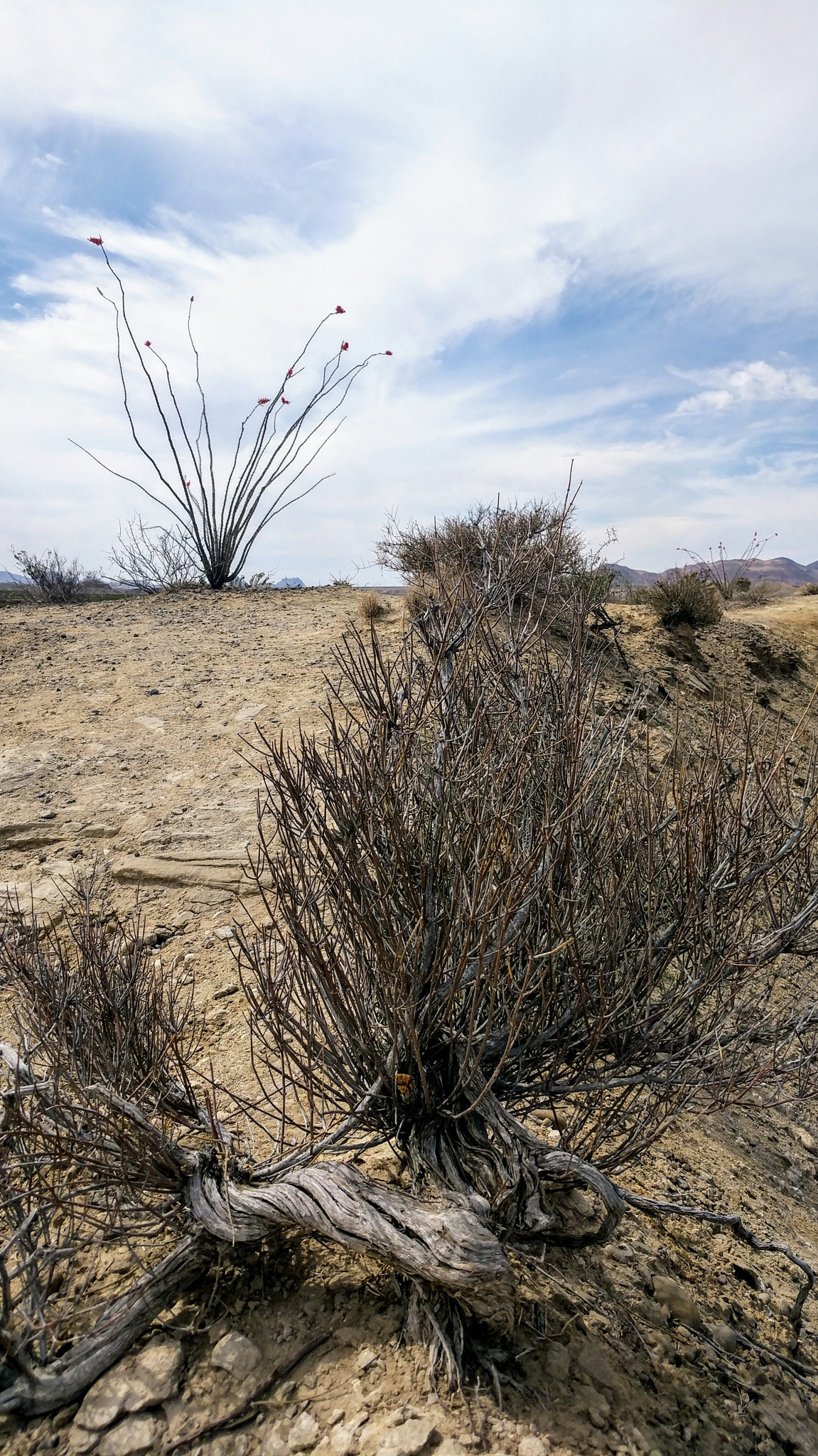 Google Pixel XL sample photo. Desert hillridge in big bend photography