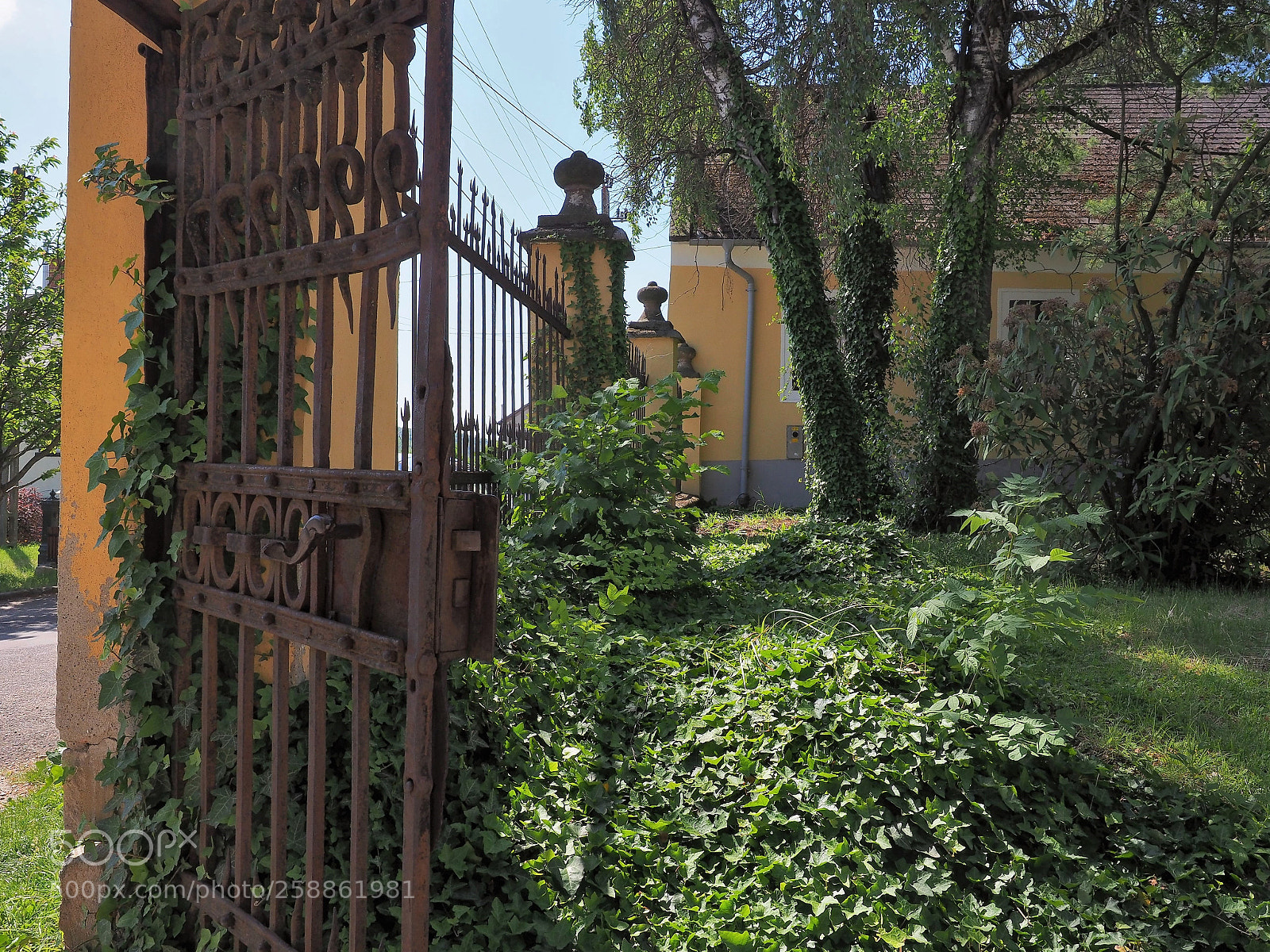 Olympus OM-D E-M1 Mark II sample photo. Romantic mood de la photography