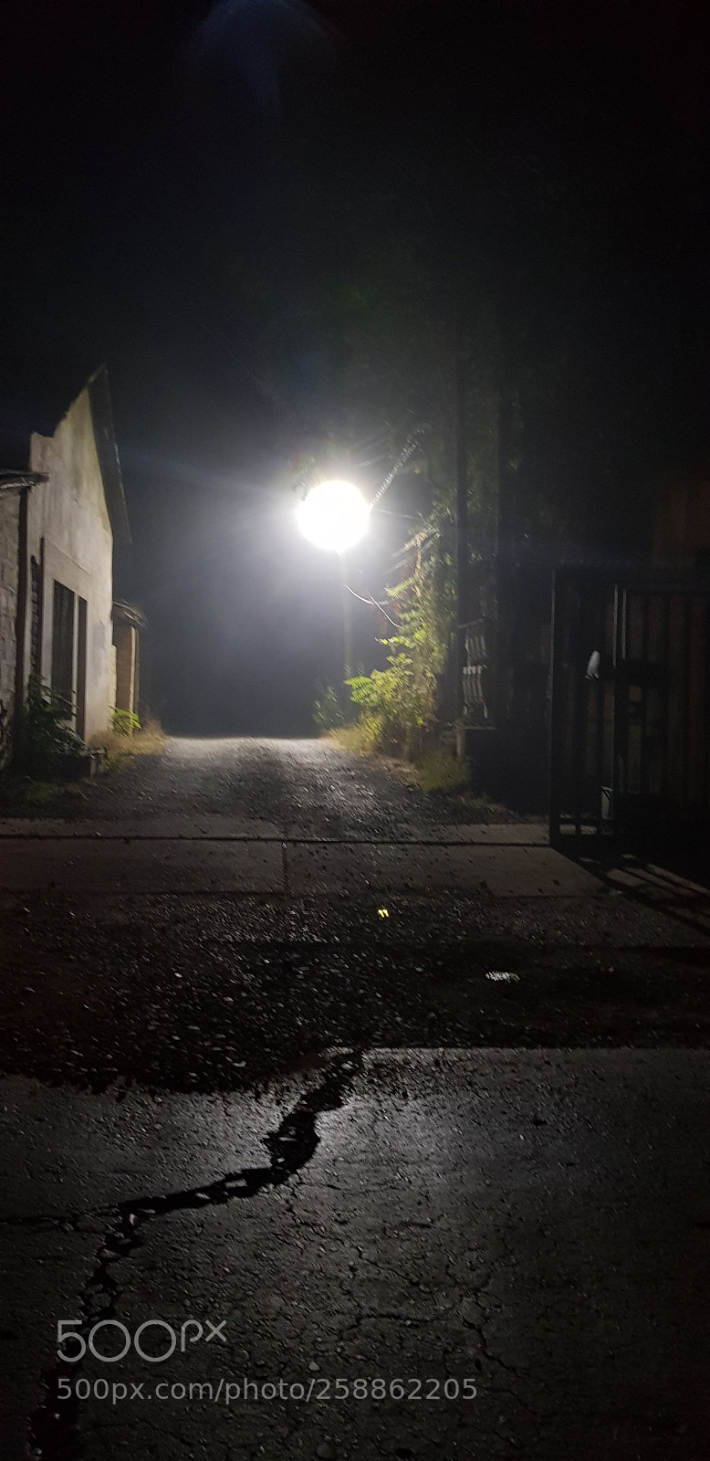 Samsung Galaxy S8+ sample photo. Untitled photography