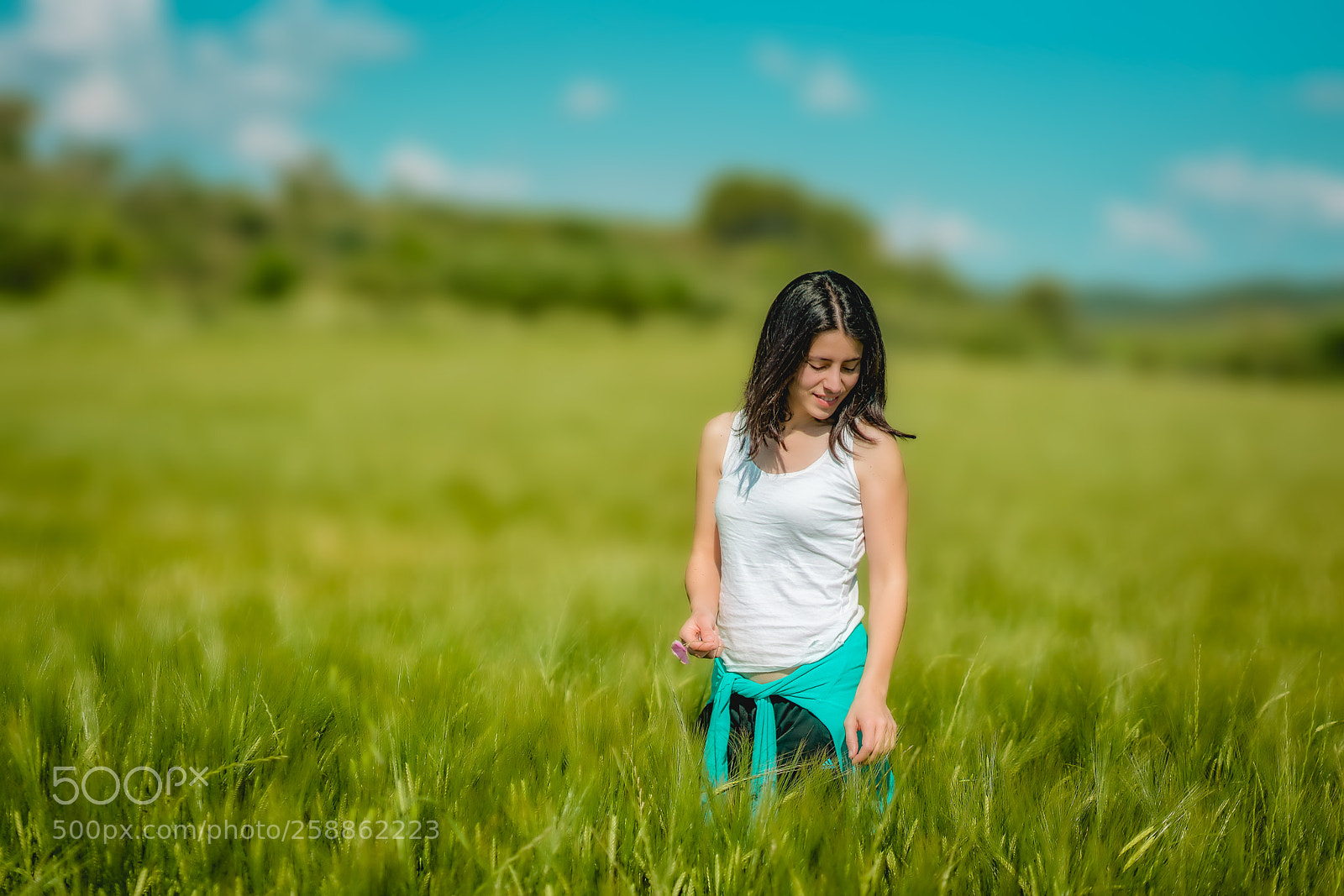 Sony a7R II sample photo. Nice spring day photography