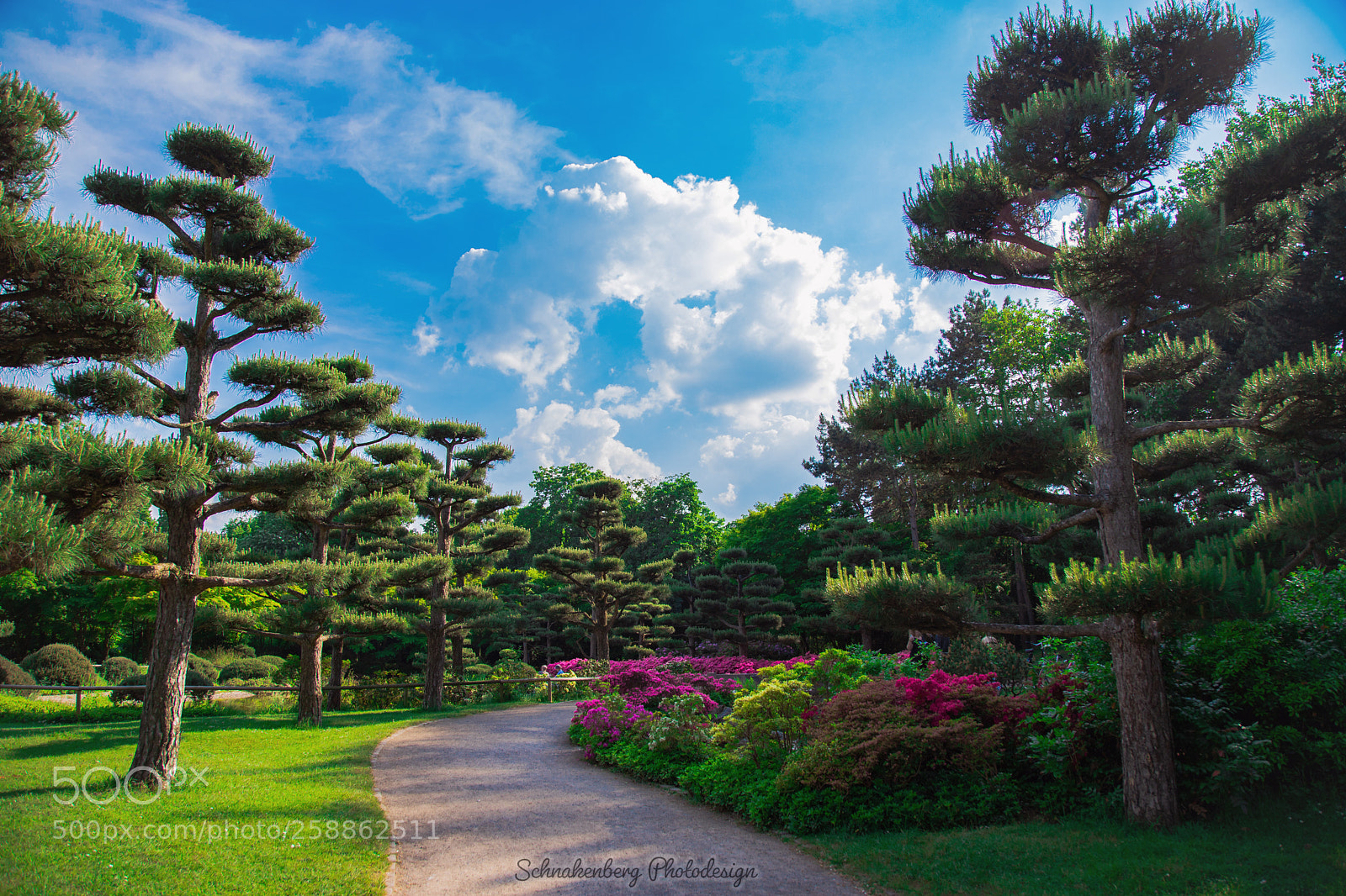 Canon EOS 6D Mark II sample photo. Japangarten photography
