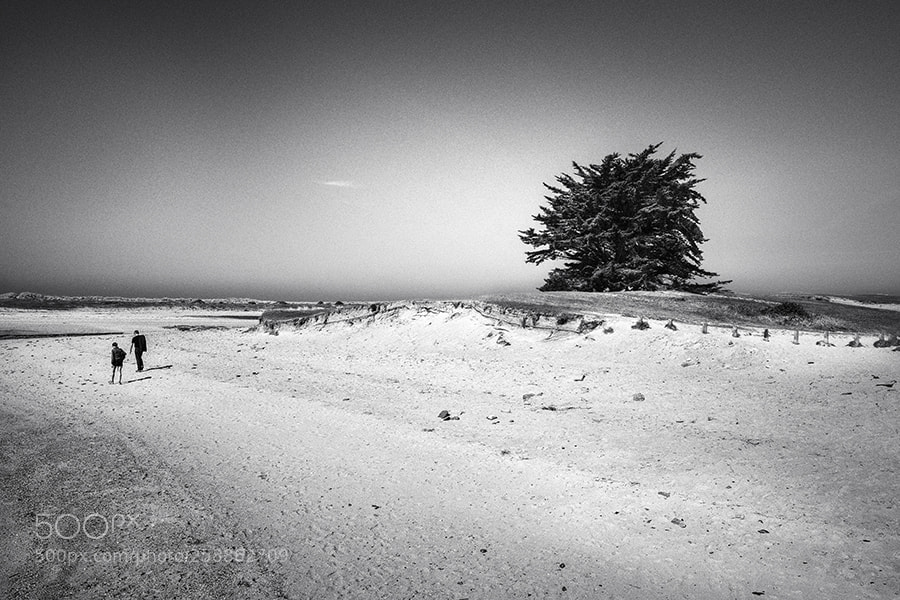 Fujifilm X-H1 sample photo. La solitude photography