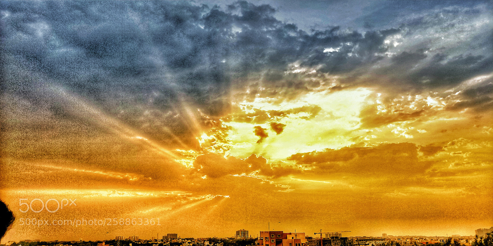 OnePlus 5T sample photo. Untitled photography