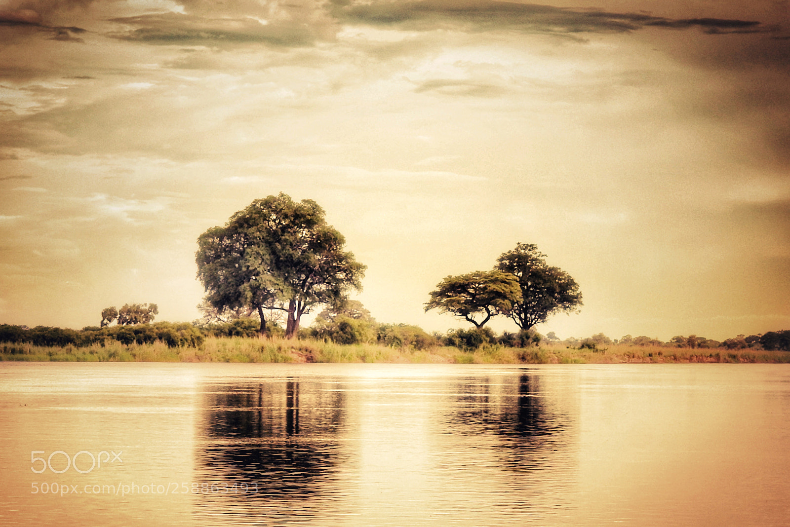 Sony SLT-A77 sample photo. African river photography
