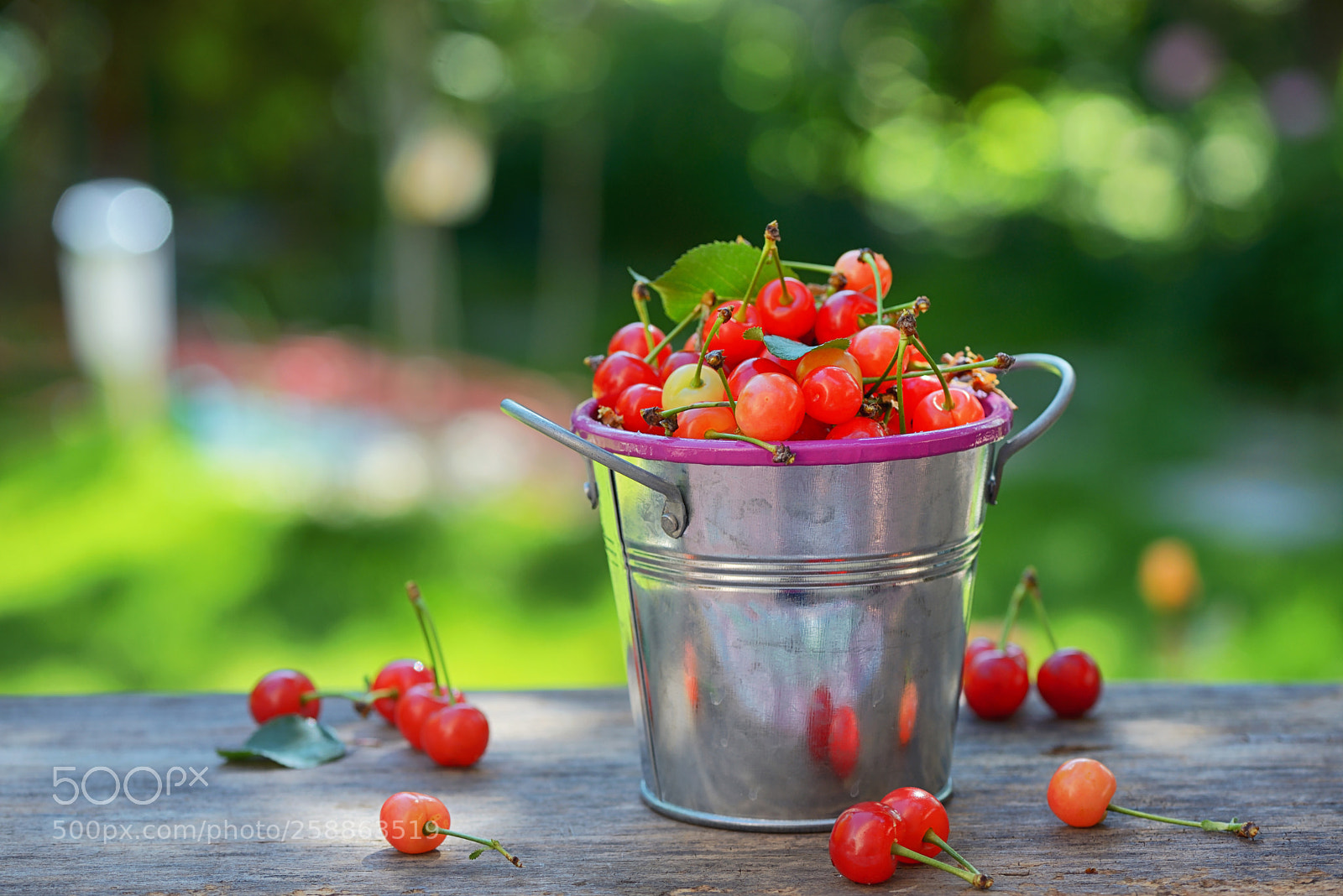 Nikon D610 sample photo. Ripe sweet cherry in photography