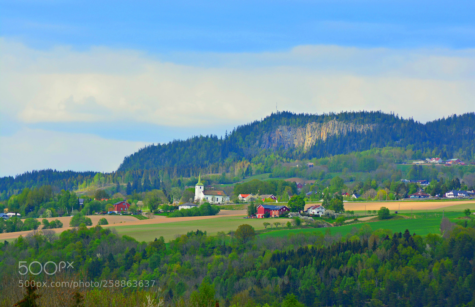 Nikon D5200 sample photo. Tranby photography