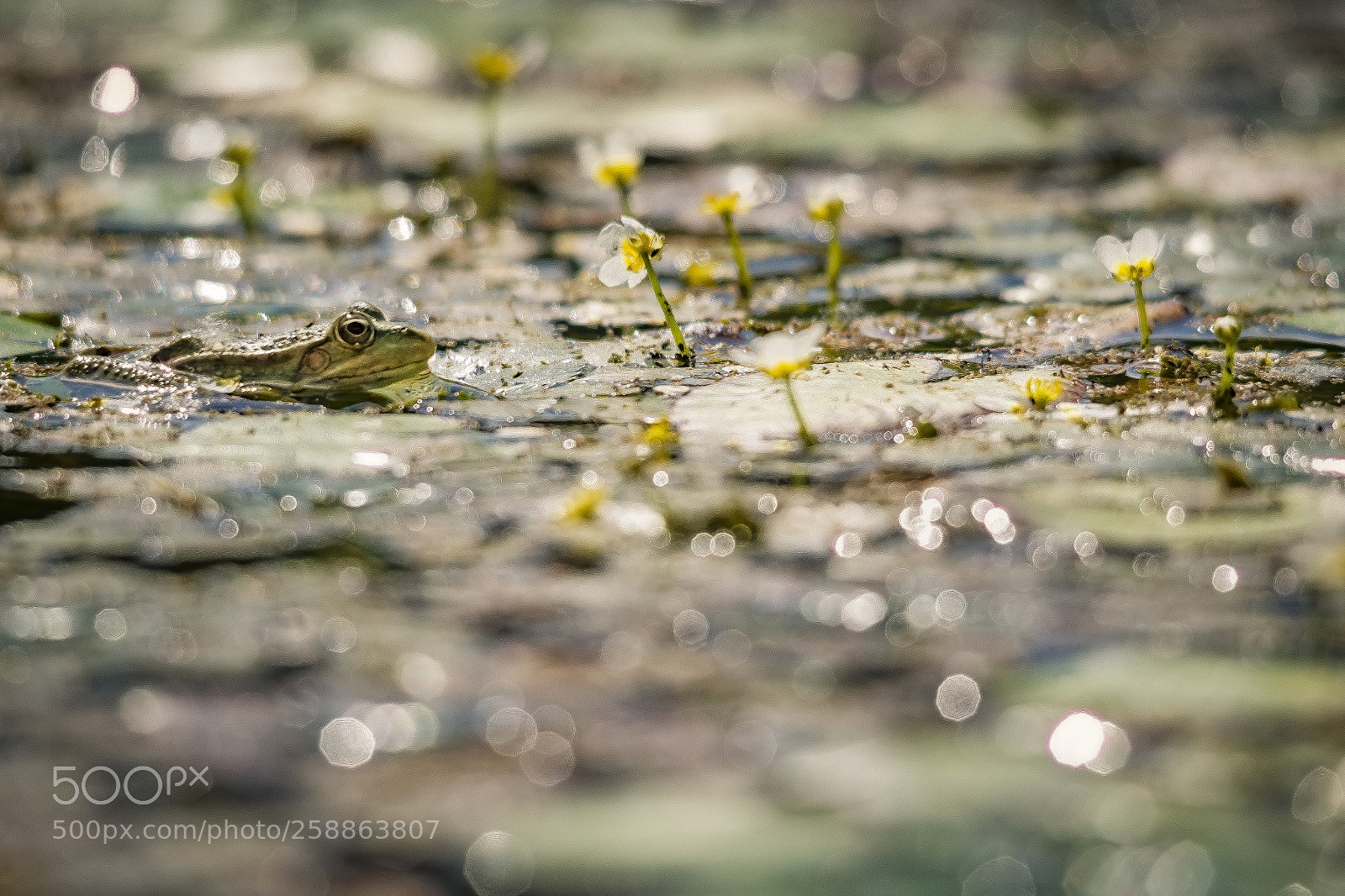 Nikon D610 sample photo. Waterworld photography