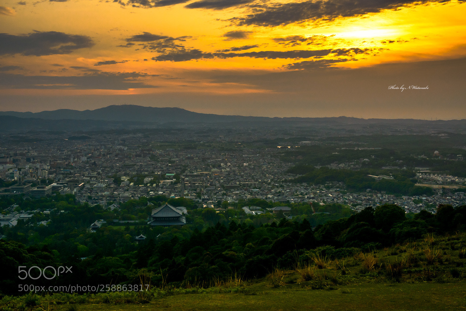 Nikon D800 sample photo. 奈良(nara) photography