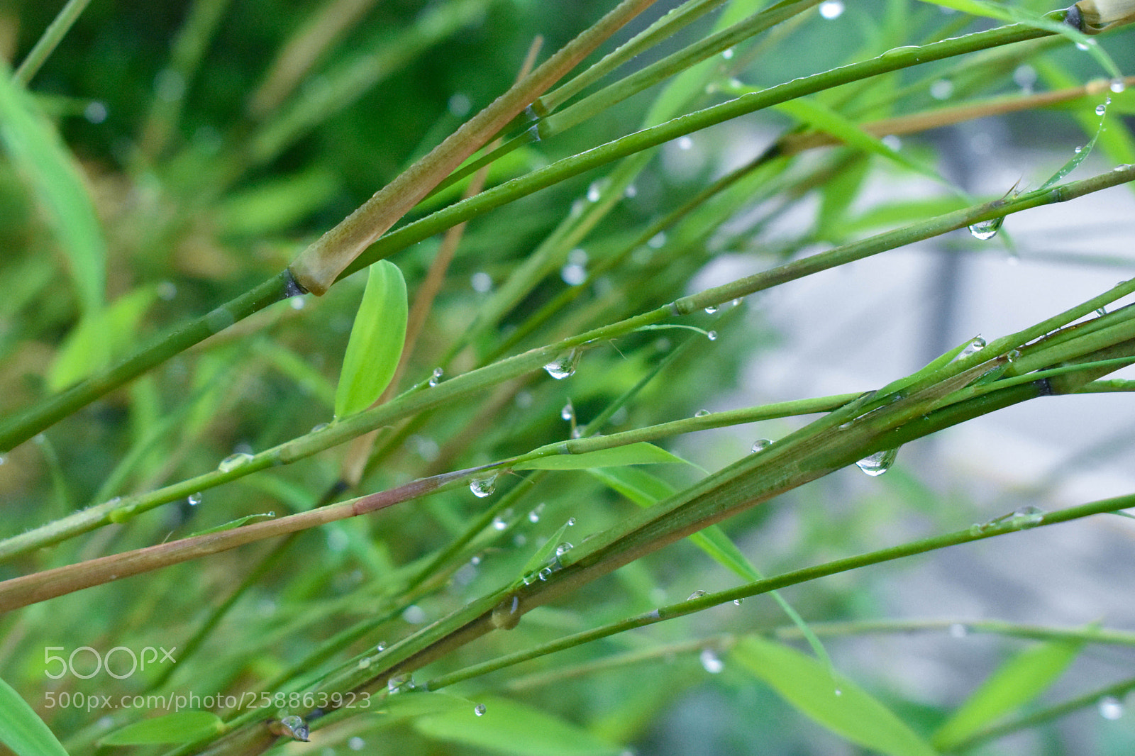 Nikon D3400 sample photo. Untitled photography