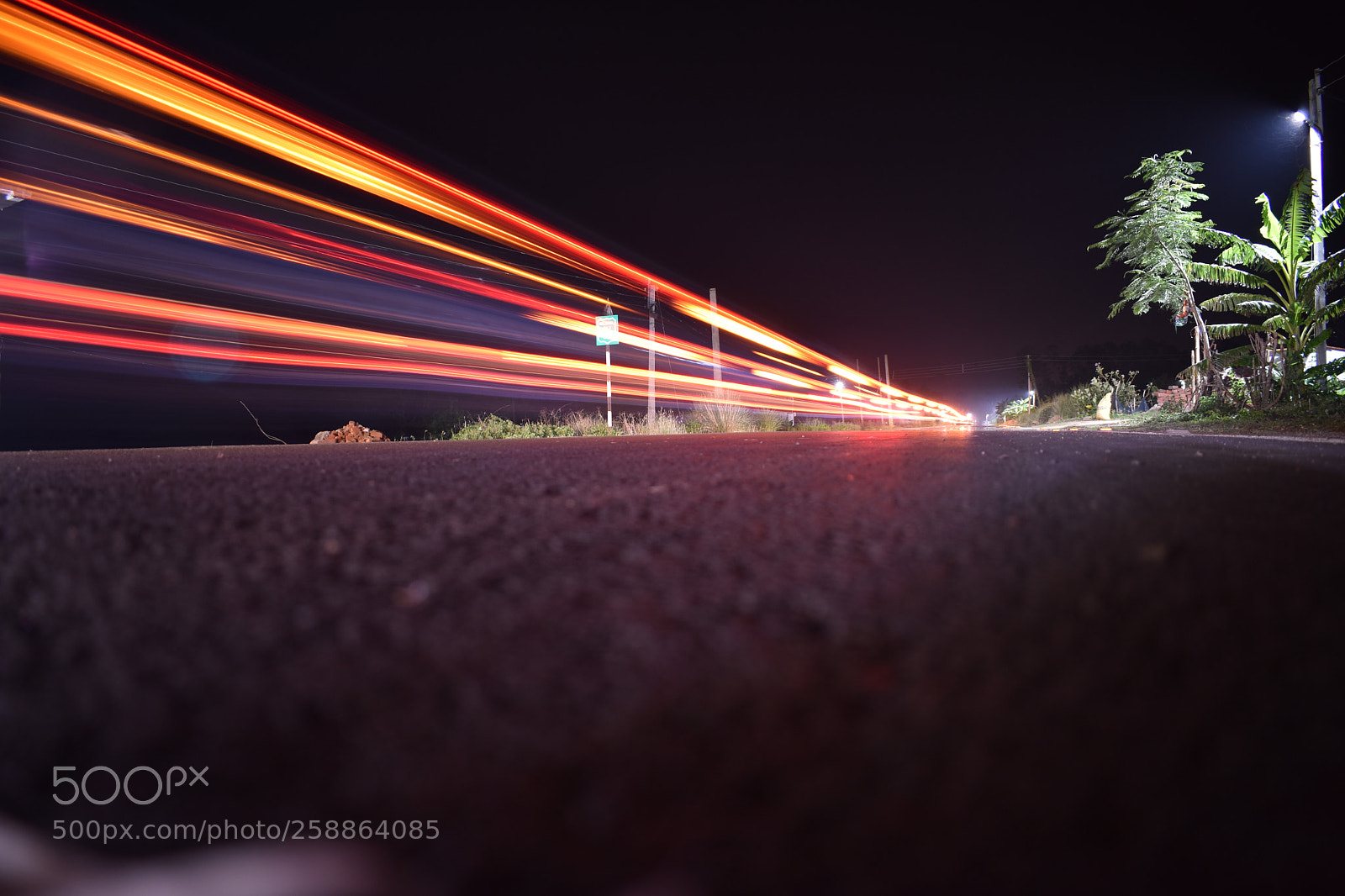 Nikon D5600 sample photo. Light tralis photography