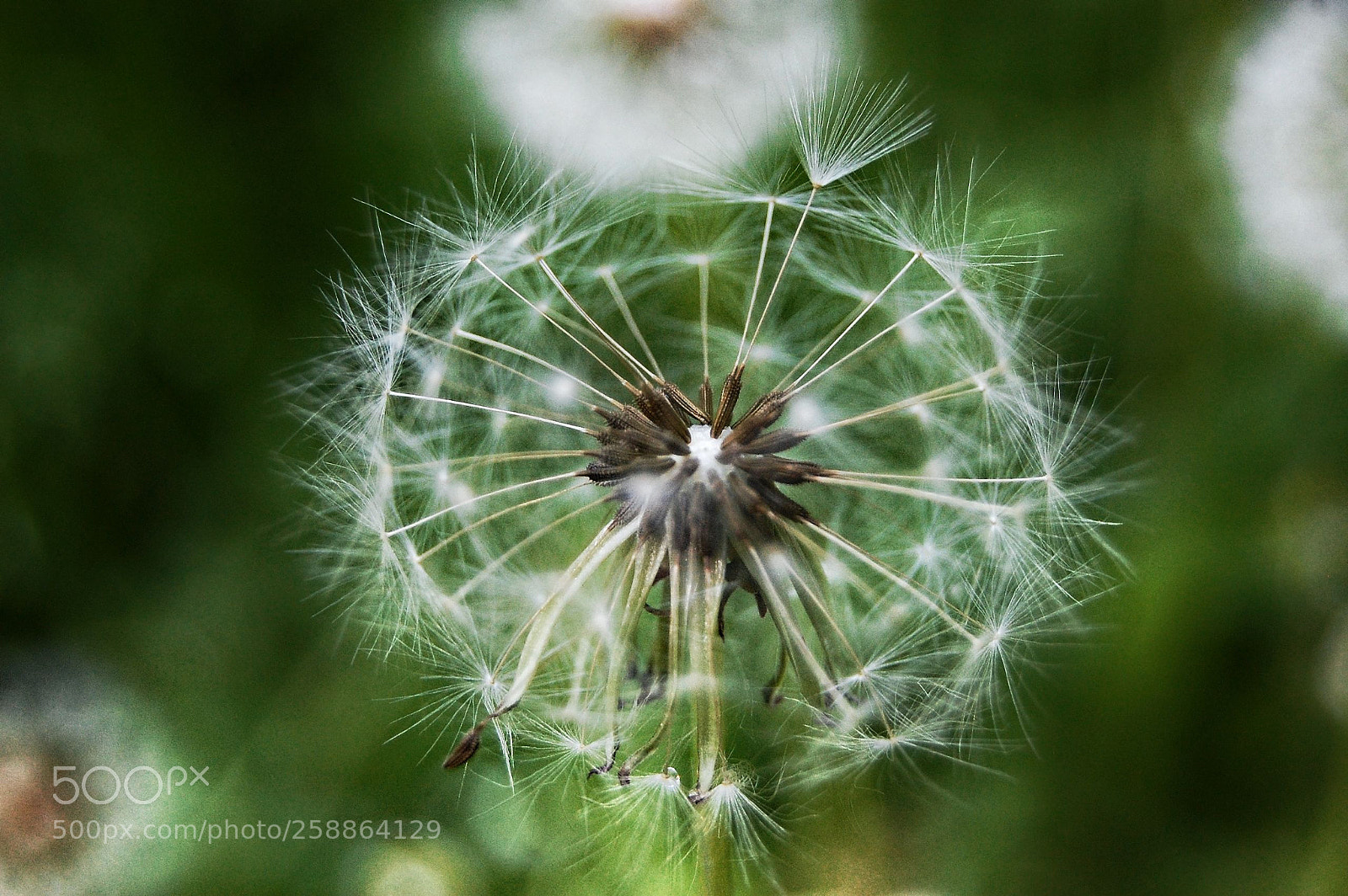 Nikon D40 sample photo. Untitled photography