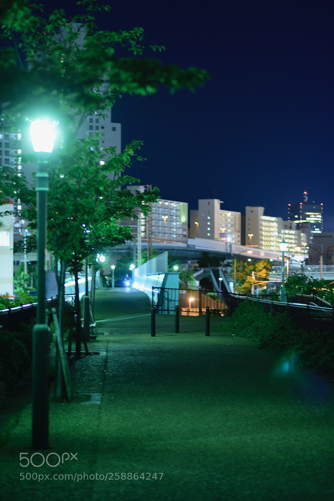 Nikon D750 sample photo. Night commuting road photography