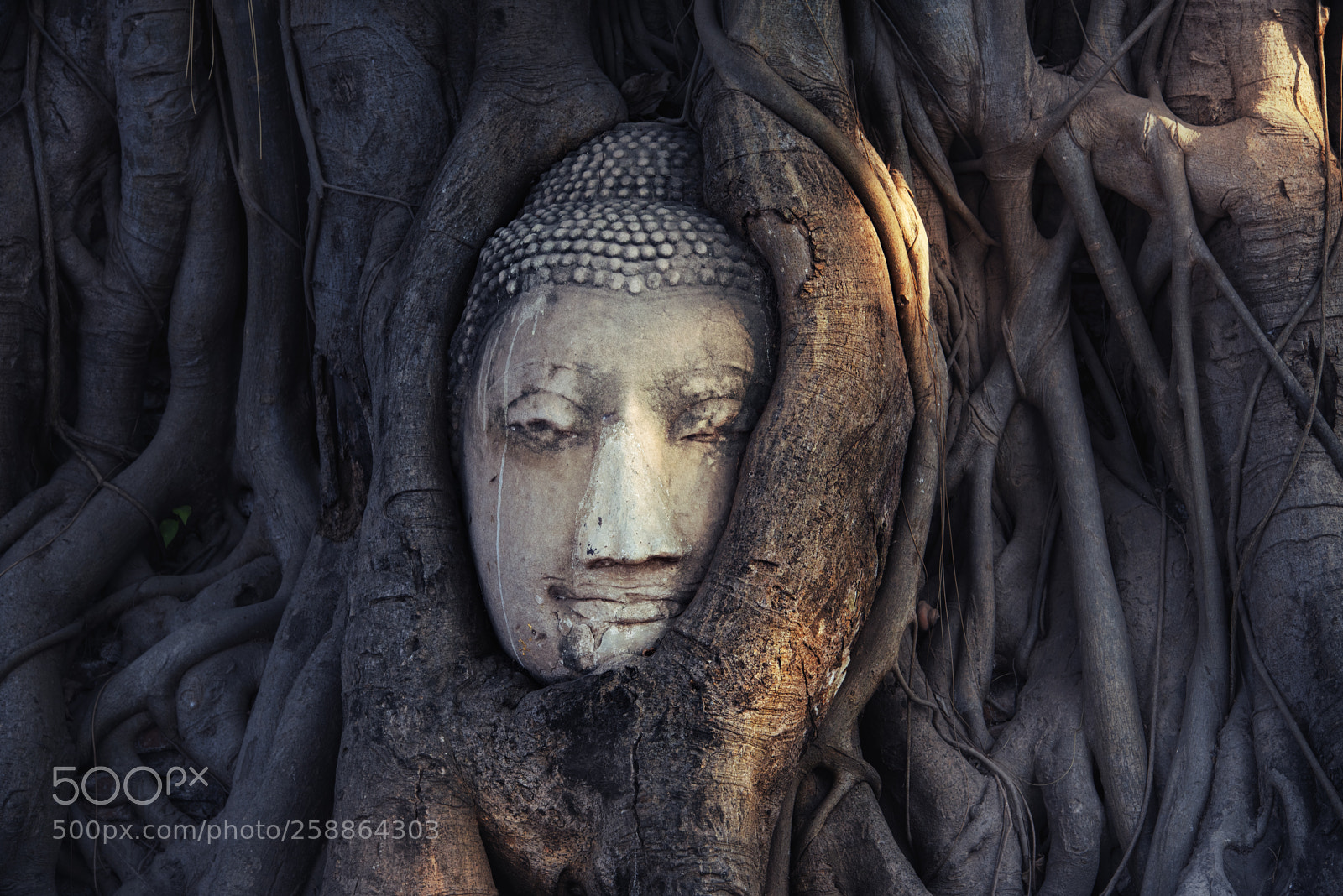 Nikon D750 sample photo. Buddha photography