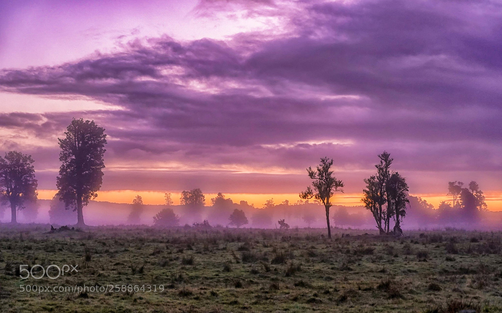 Sony a9 sample photo. Colourful sunset photography