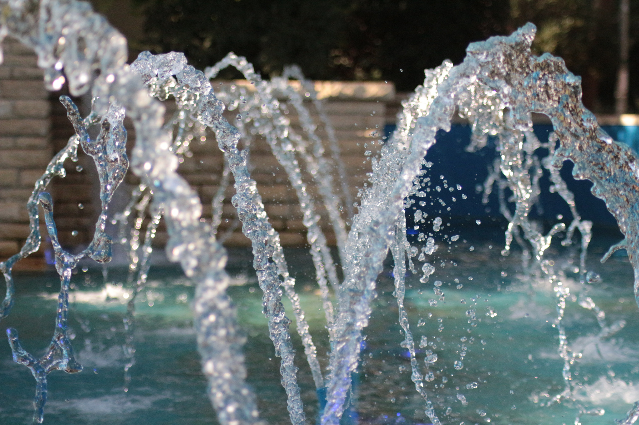 Canon EOS 700D (EOS Rebel T5i / EOS Kiss X7i) sample photo. Run to the water photography