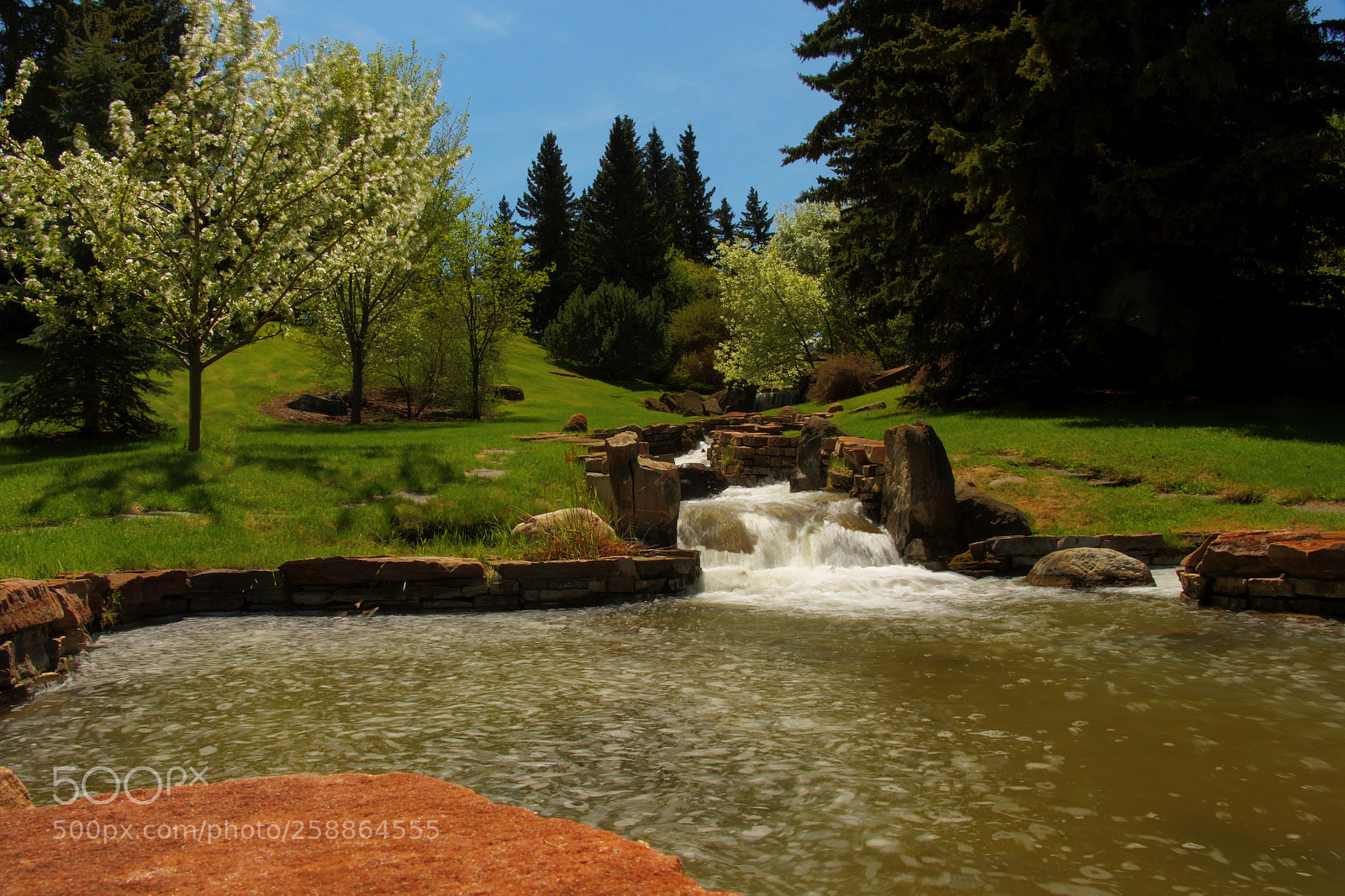 Canon EOS 650D (EOS Rebel T4i / EOS Kiss X6i) sample photo. Lake bonavista pool and photography