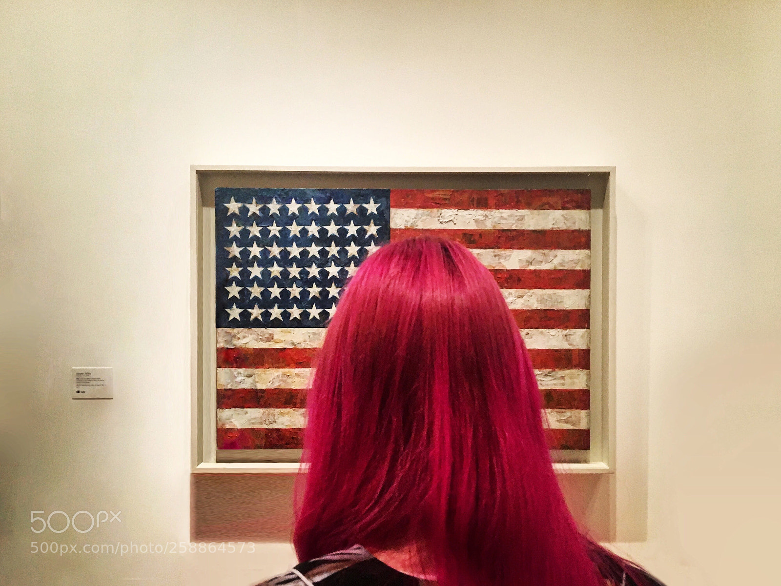 Apple iPhone 6s sample photo. American flag photography
