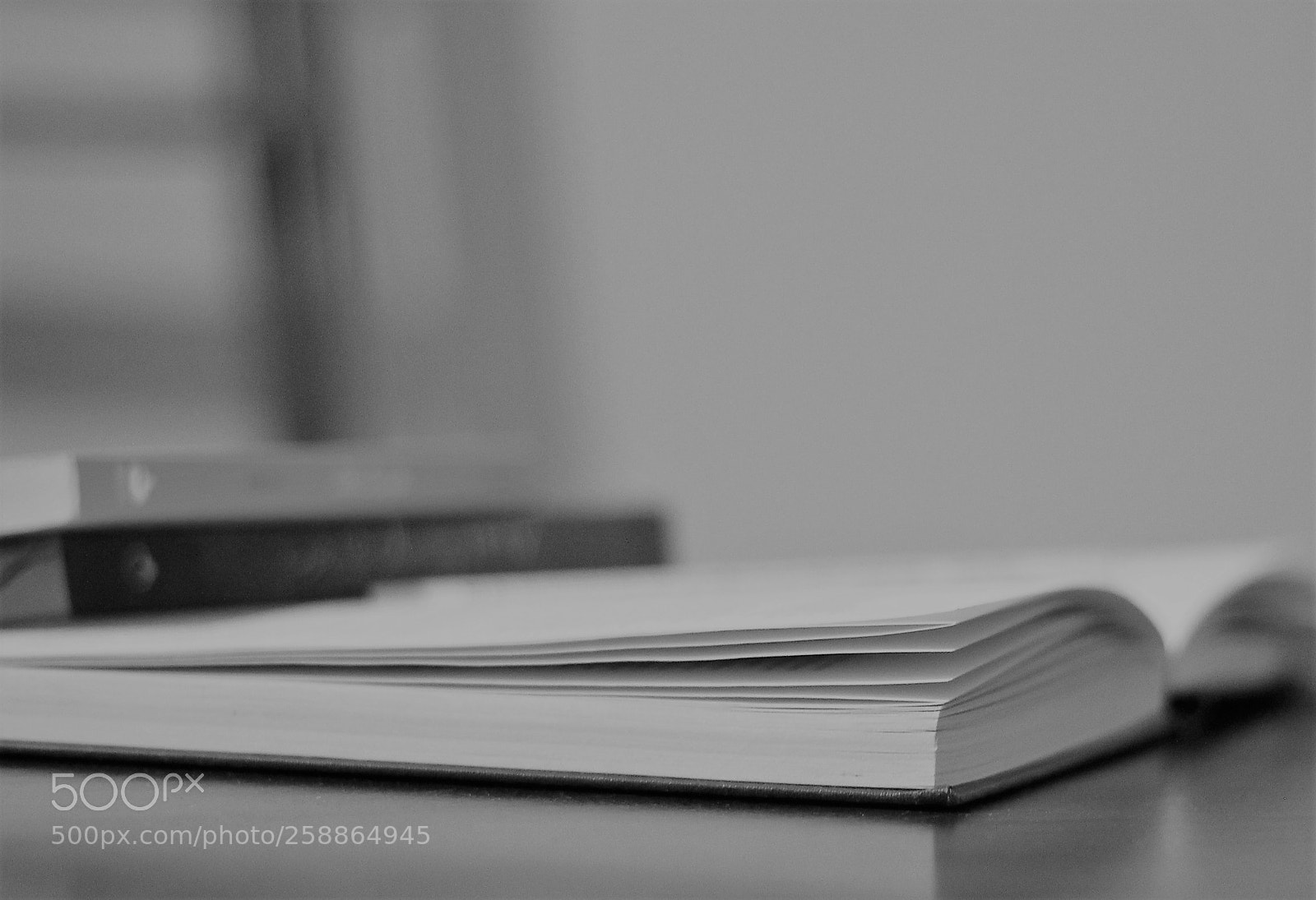 Canon EOS 60D sample photo. The magic life of photography