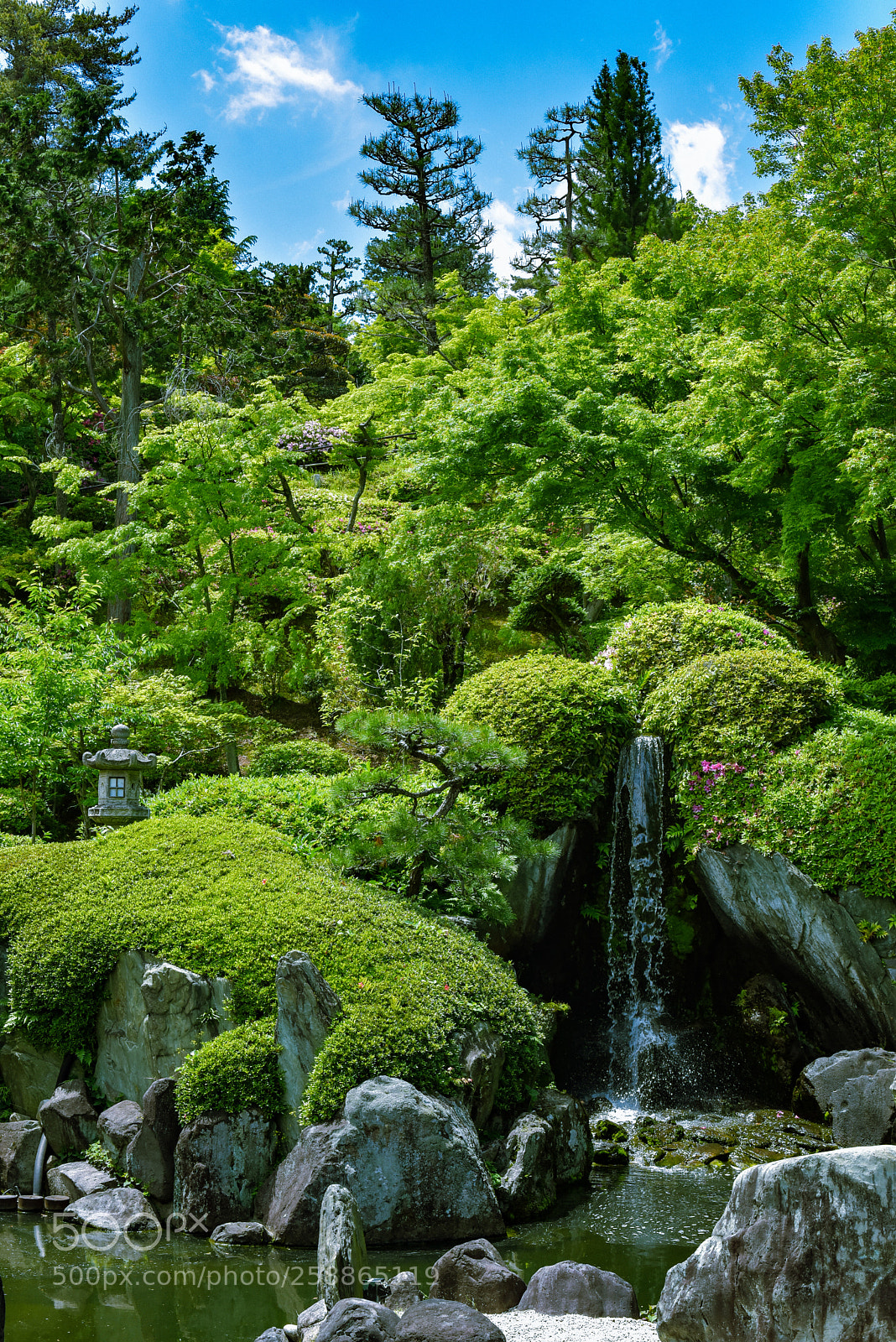 Nikon D750 sample photo. Japanese garden photography