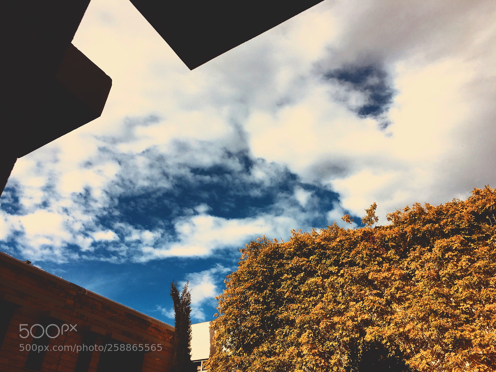 Apple iPhone 6s sample photo. Untitled photography