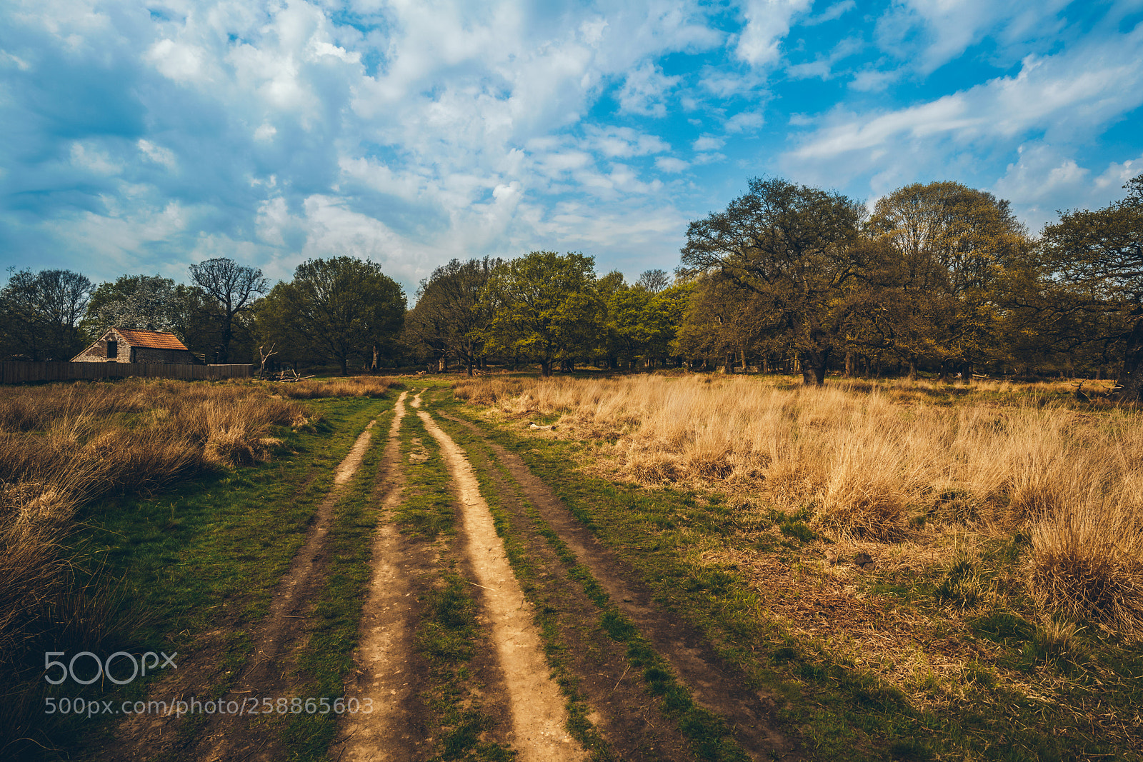 Sony a7R III sample photo. Richmond paths photography