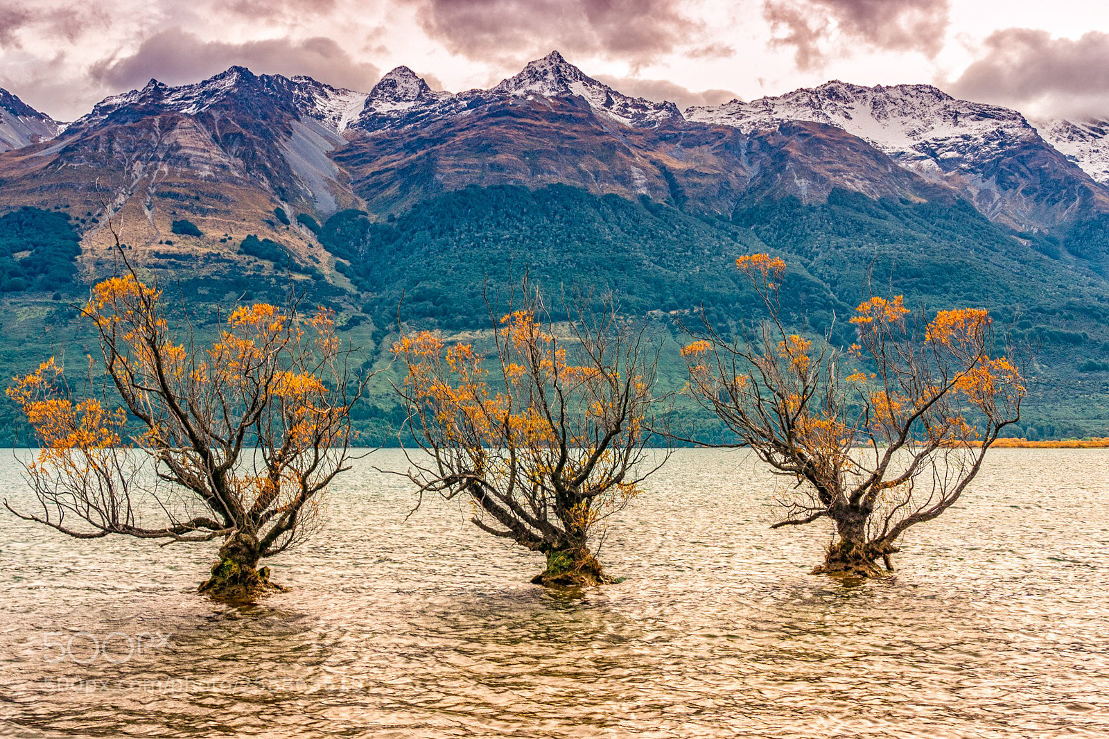 Sony a9 sample photo. Glennorchy photography