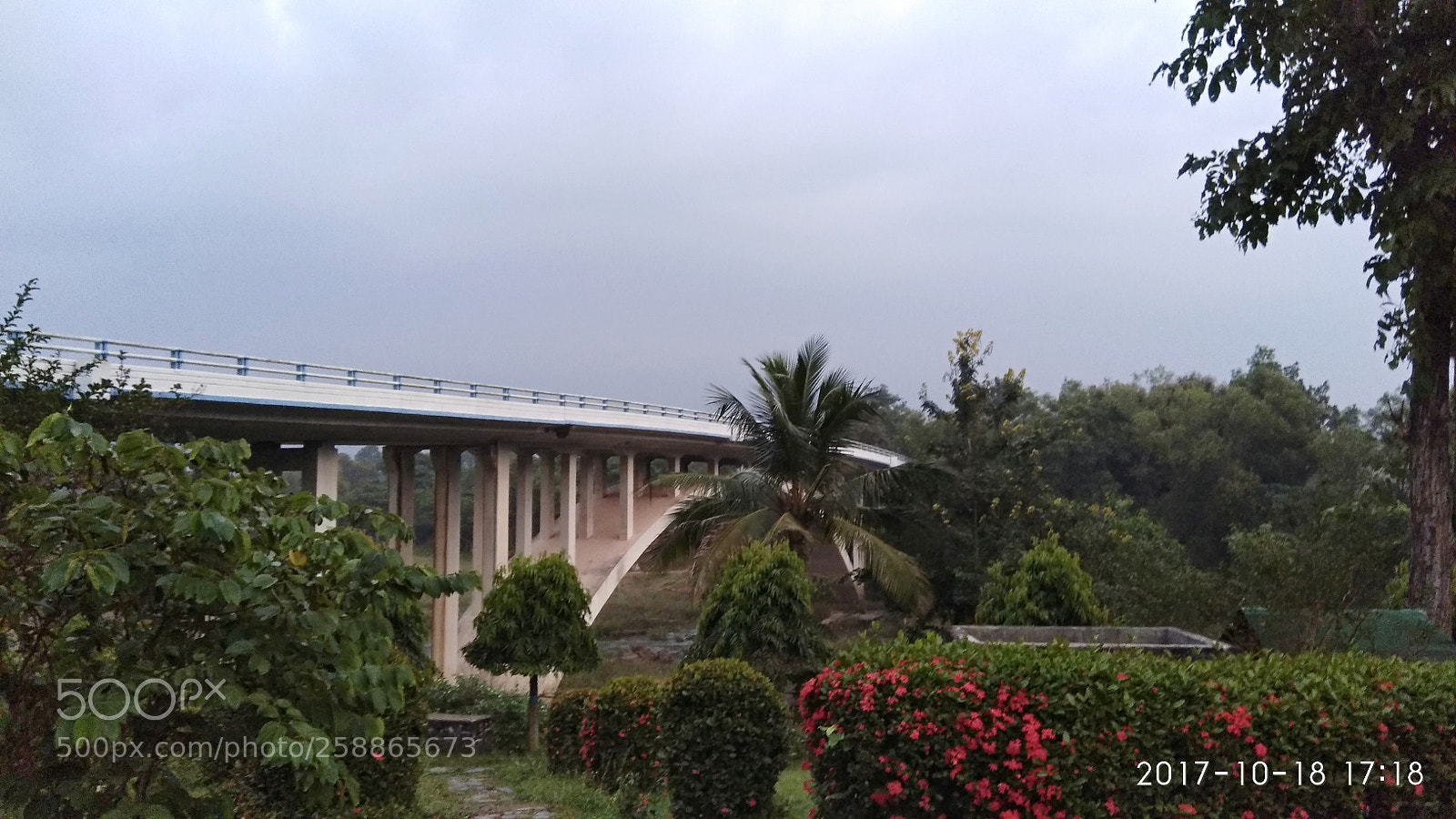 Xiaomi Redmi Note 4 sample photo. Untitled photography