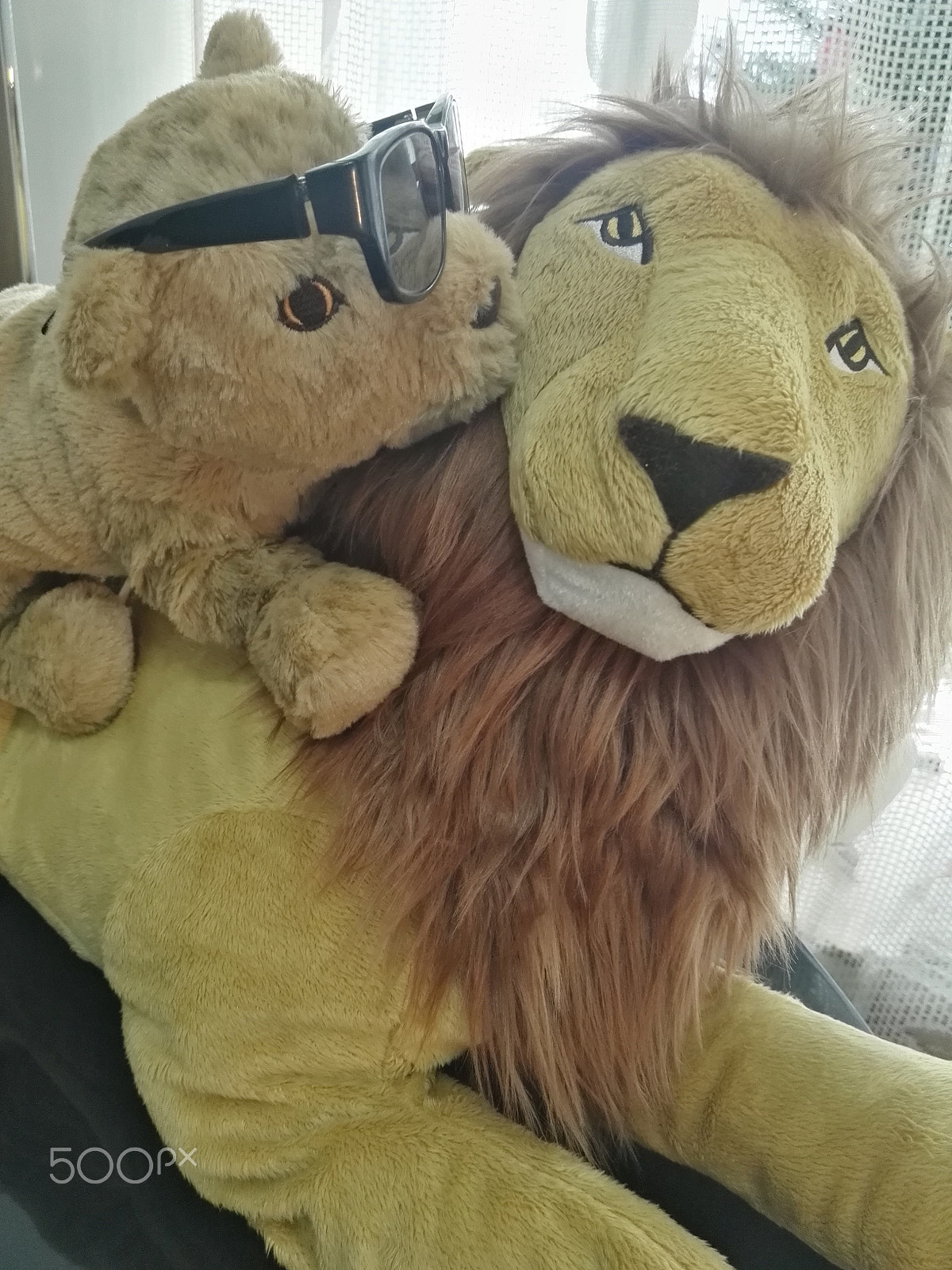 HUAWEI P8 sample photo. Pets in sunglasses 2 photography