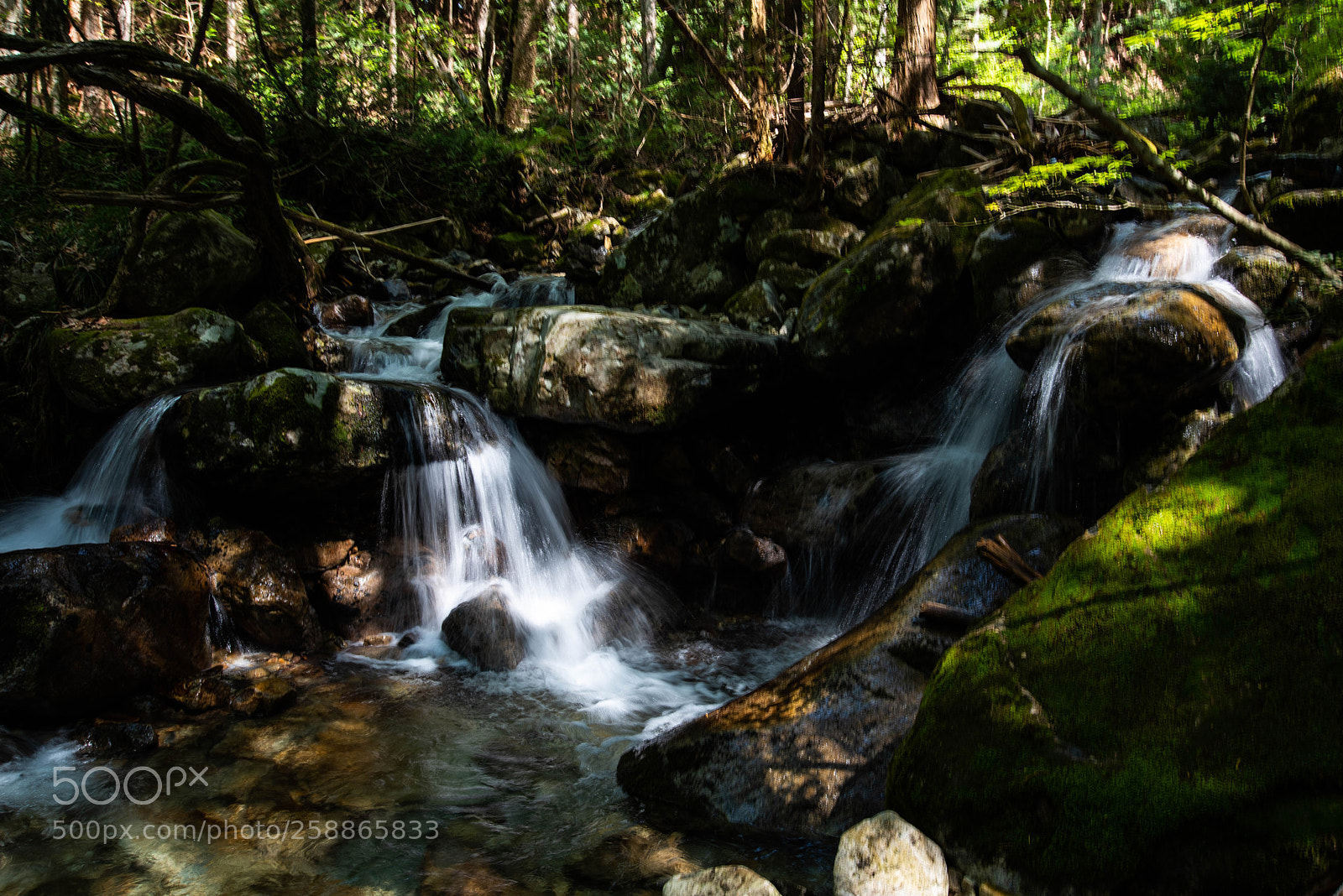 Nikon D810 sample photo. Tiny falls photography