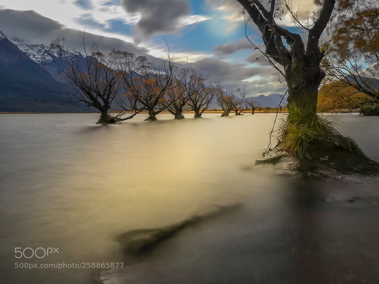HUAWEI CLT-L29 sample photo. Tree in smooth water photography