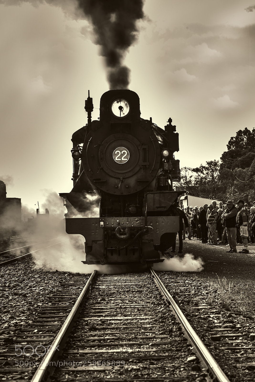 Nikon D810 sample photo. Pichi richi railway ,quorn photography