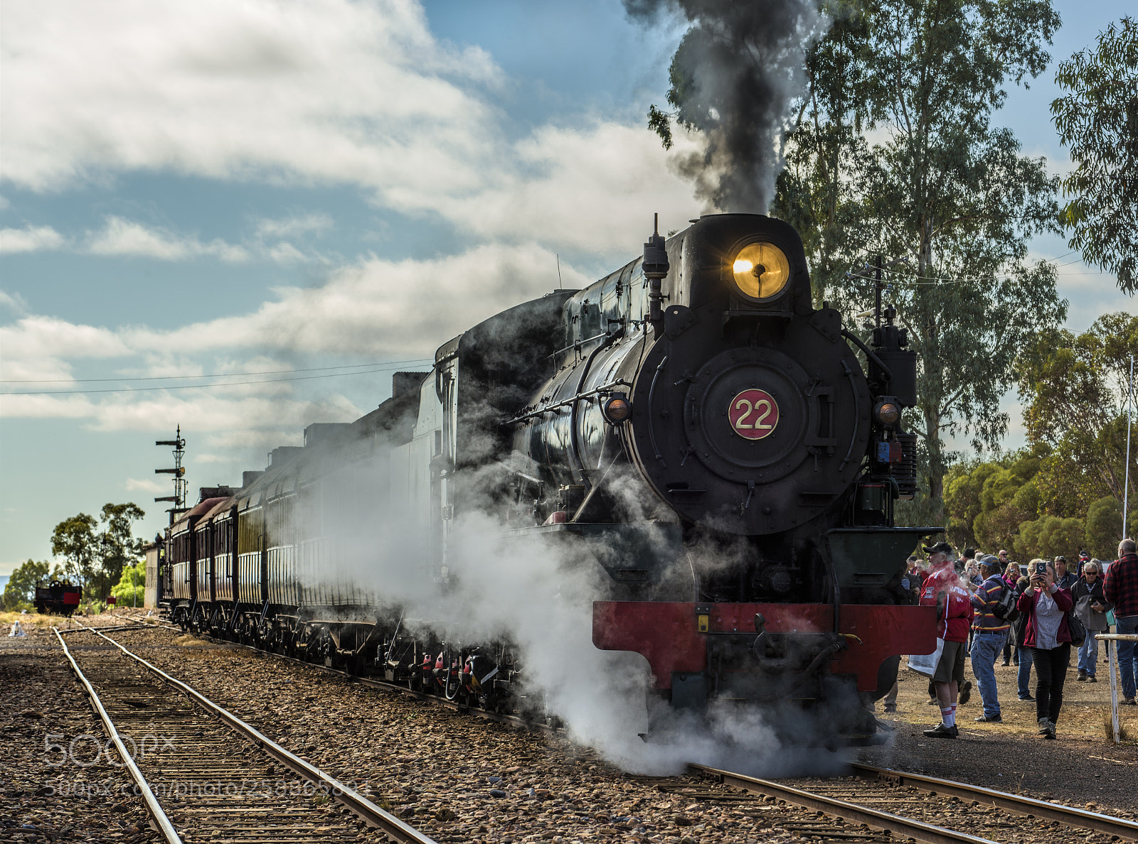 Nikon D810 sample photo. Pichi richi railway,quorn south photography