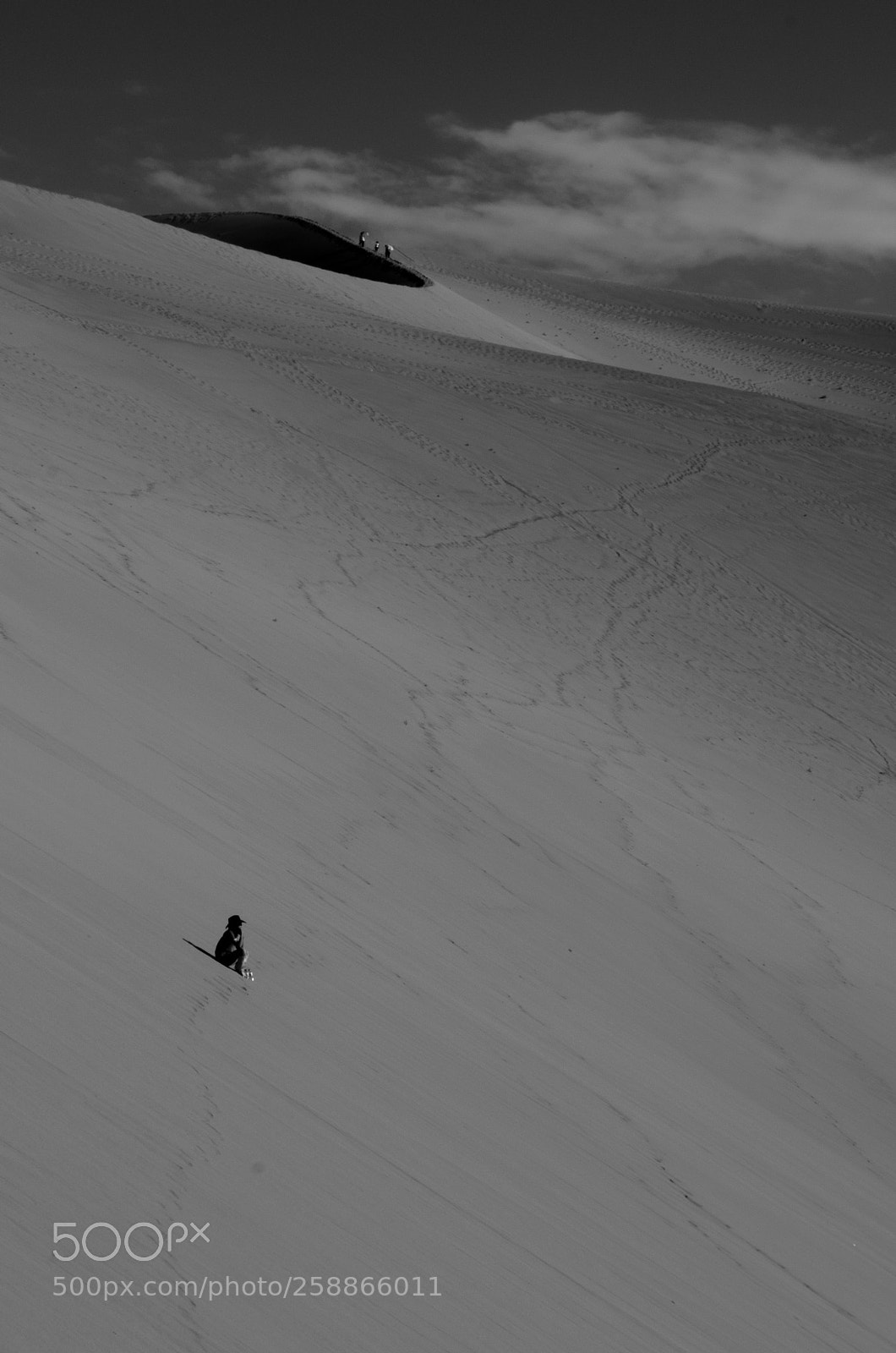 Nikon D5100 sample photo. Alone on the sand photography