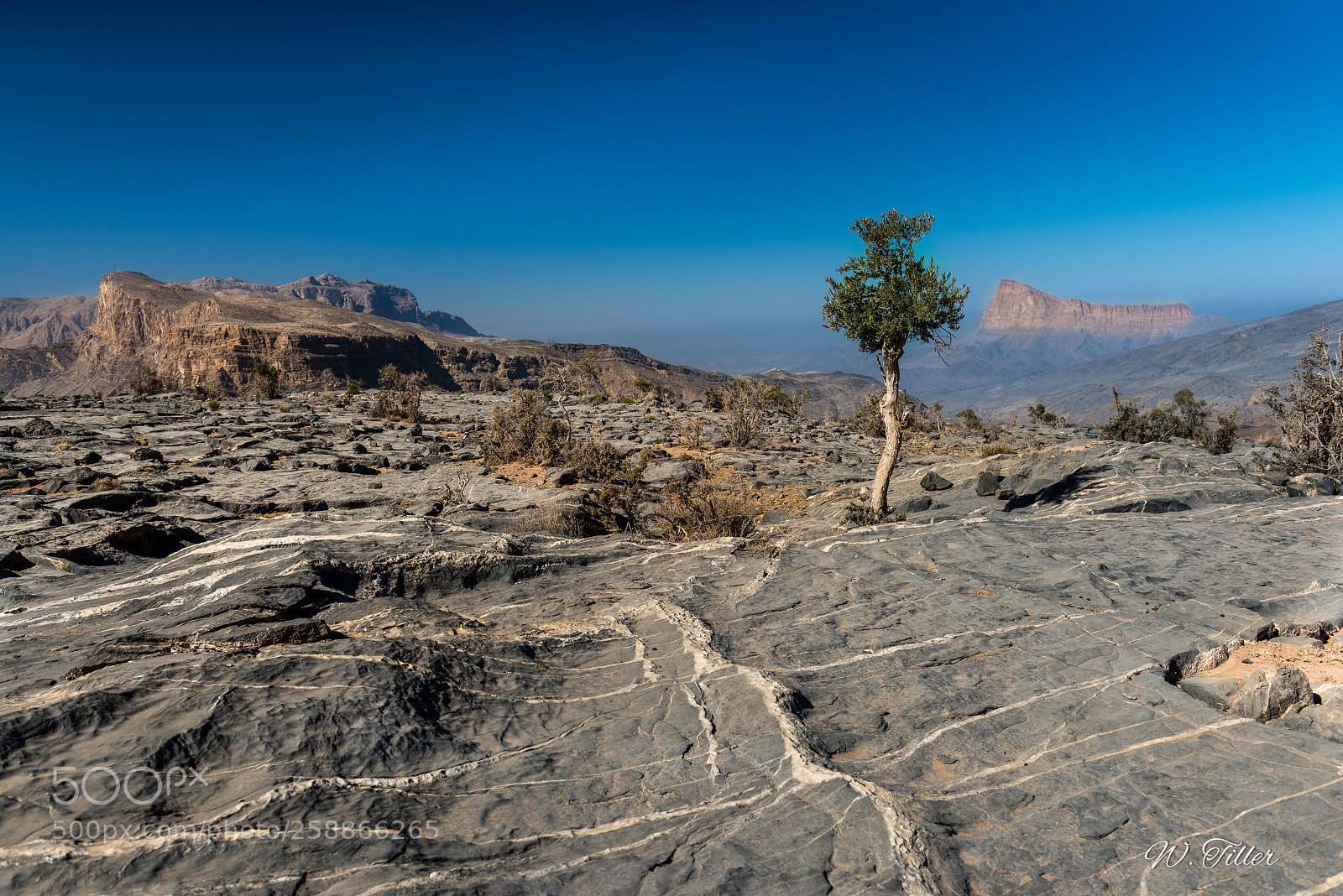 Nikon D810 sample photo. Hadschar gebirge photography