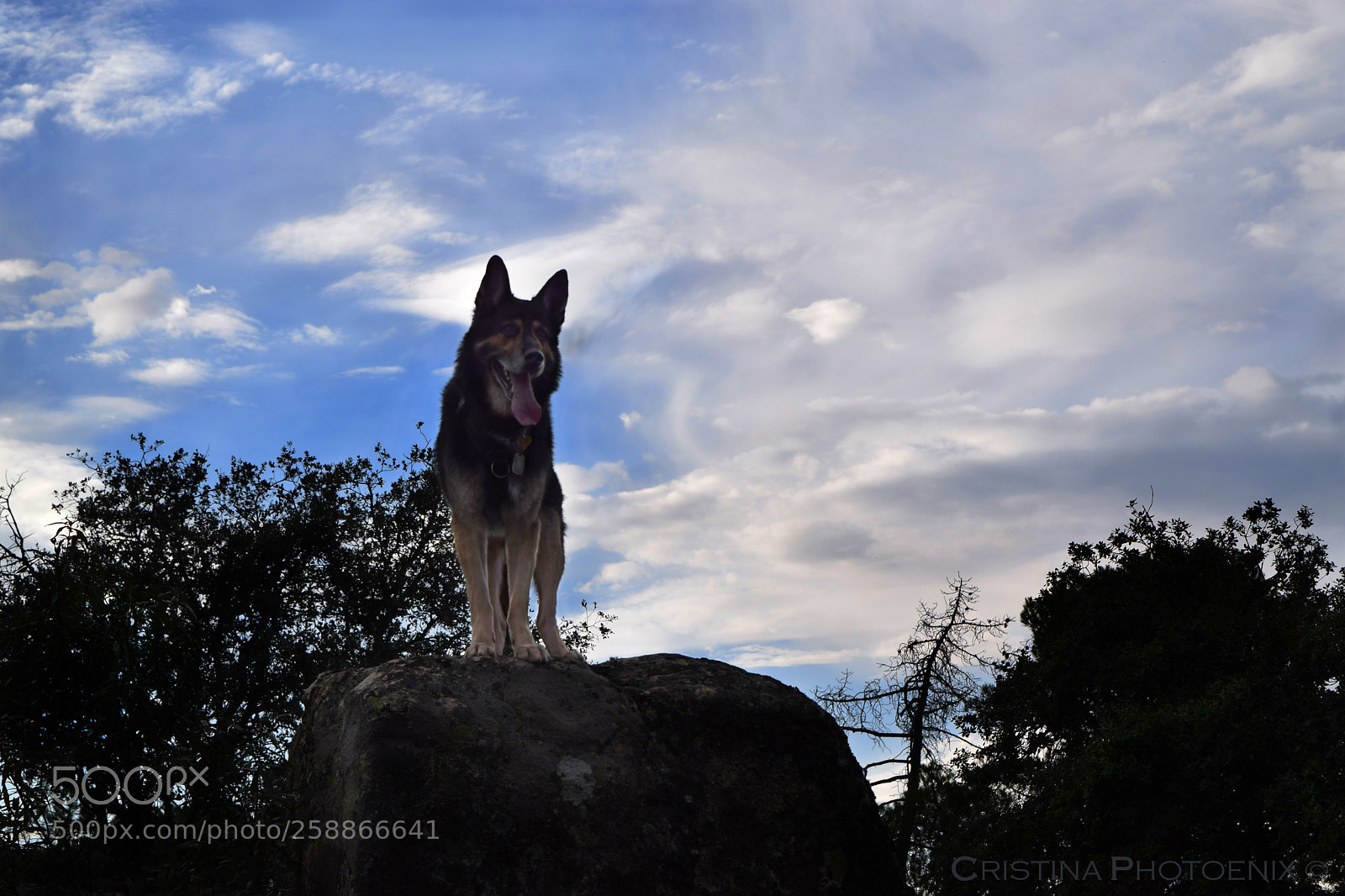 Nikon D3300 sample photo. Drako ∞ photography