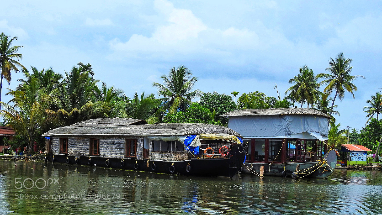 Nikon Coolpix P900 sample photo. Kumarakam photography