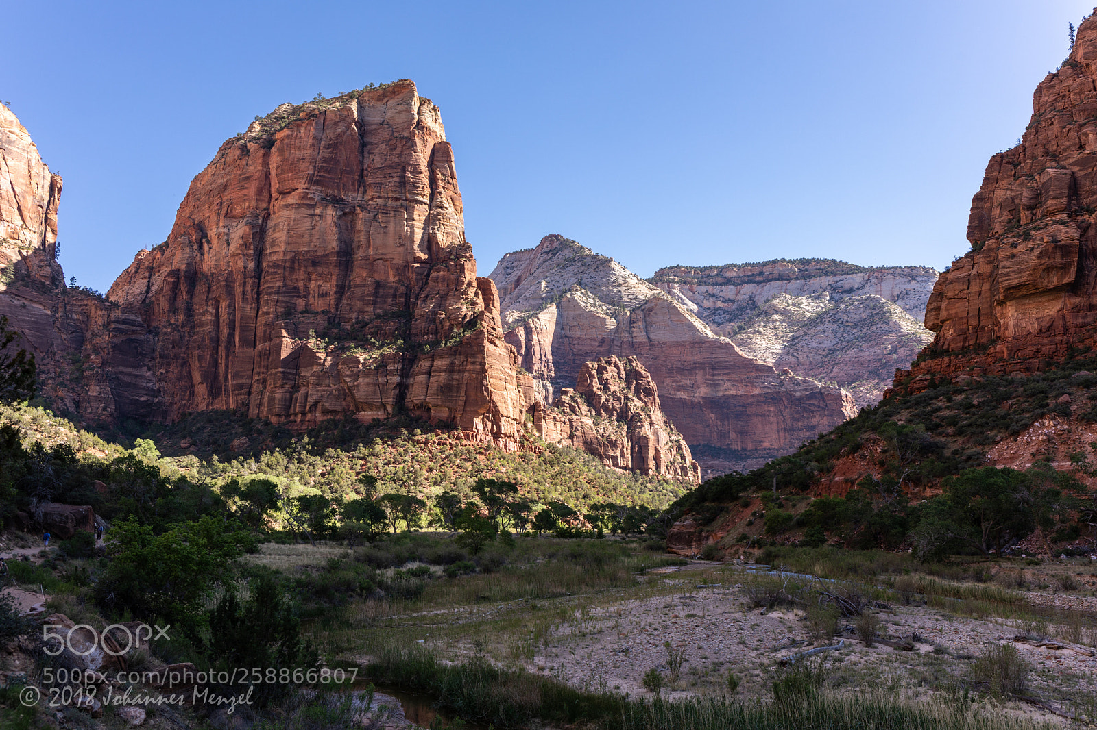 Canon EOS 5D Mark IV sample photo. Zion morning photography
