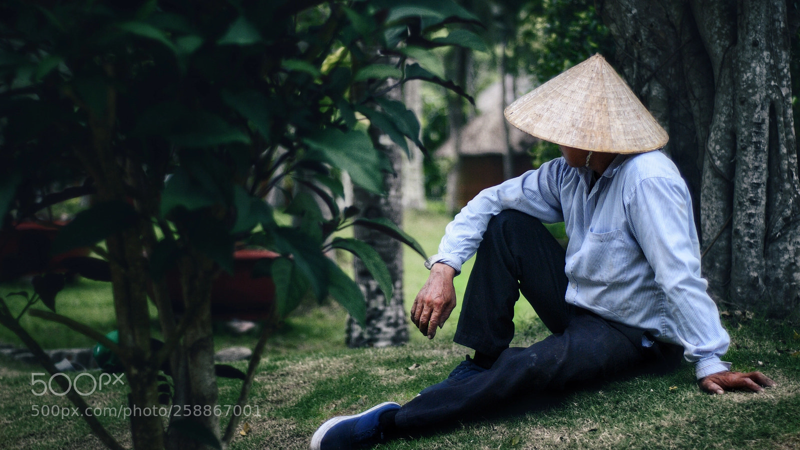 Nikon D80 sample photo. Phu quoc photography
