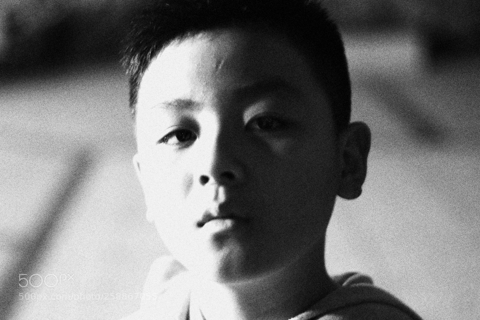 Canon EOS 80D + Canon EF 50mm F1.8 STM sample photo. Untitled photography