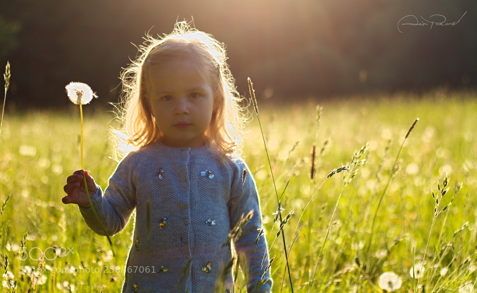 Canon EOS 7D sample photo. Nikolka photography