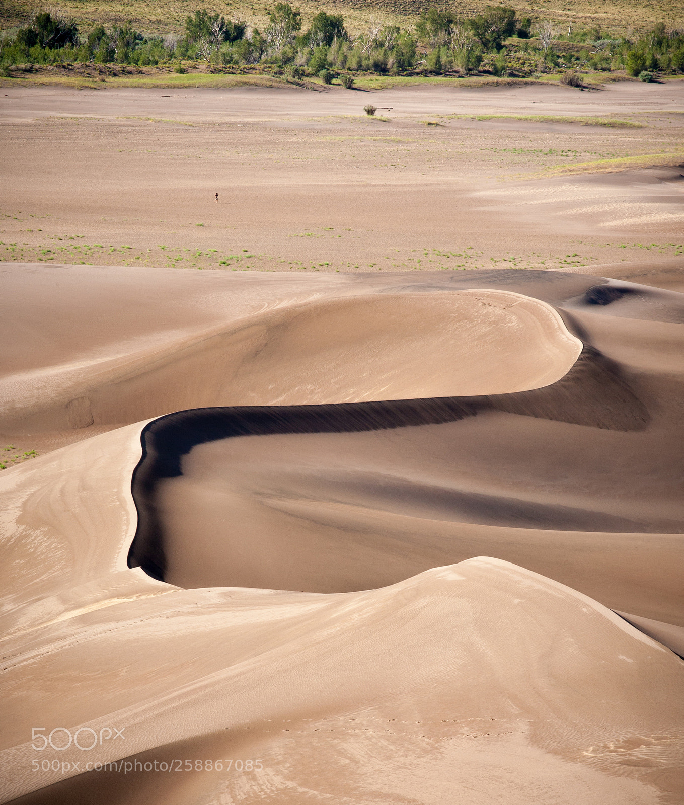 Canon EOS 5D sample photo. A blanket of sand photography