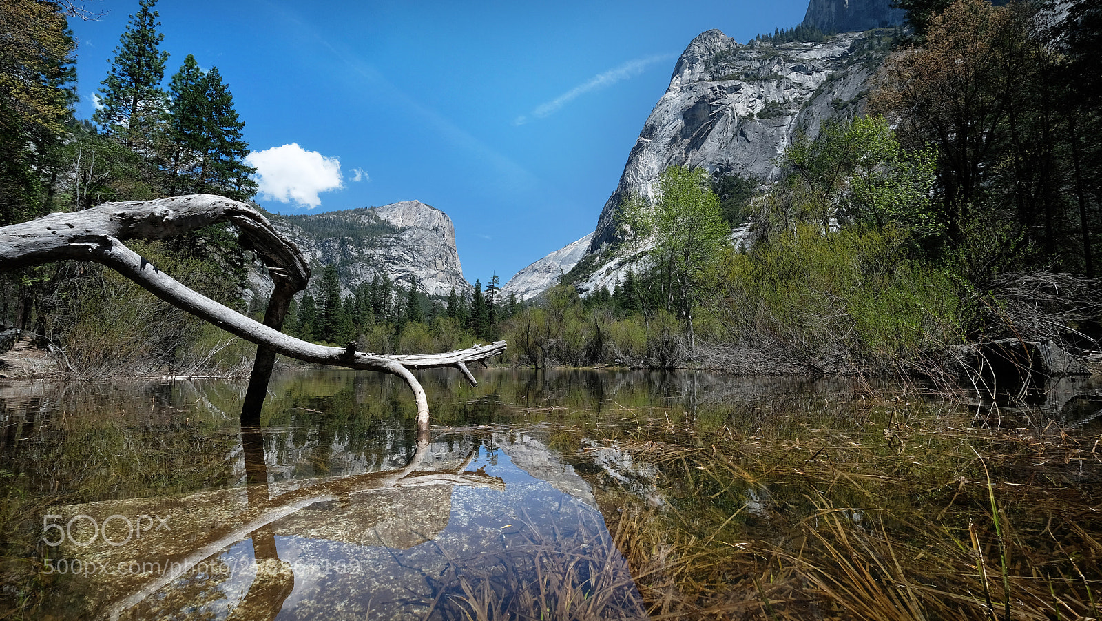 Fujifilm X-T2 sample photo. Yosemite  photography