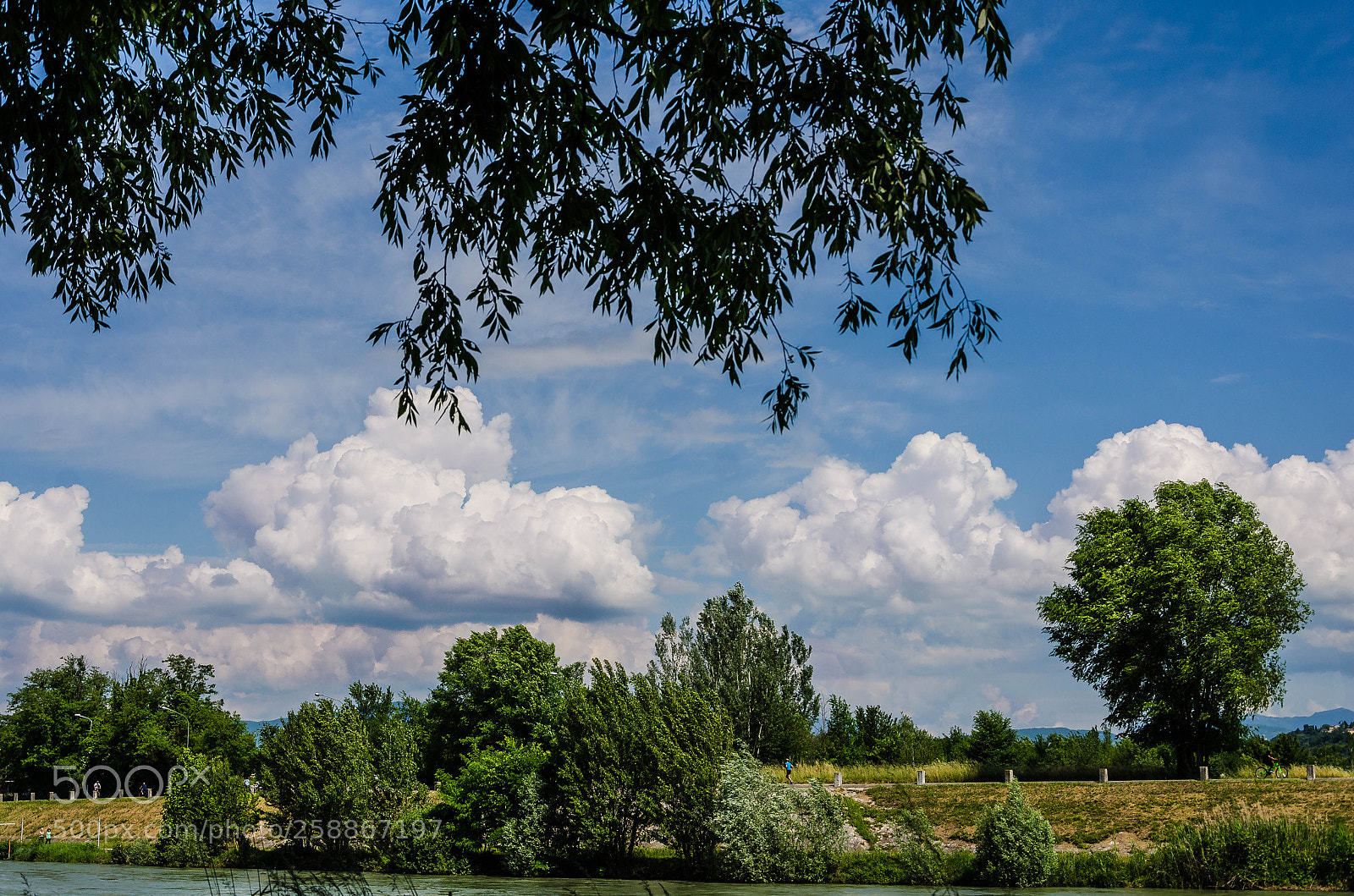 Nikon D7000 sample photo. Blue,white,green photography