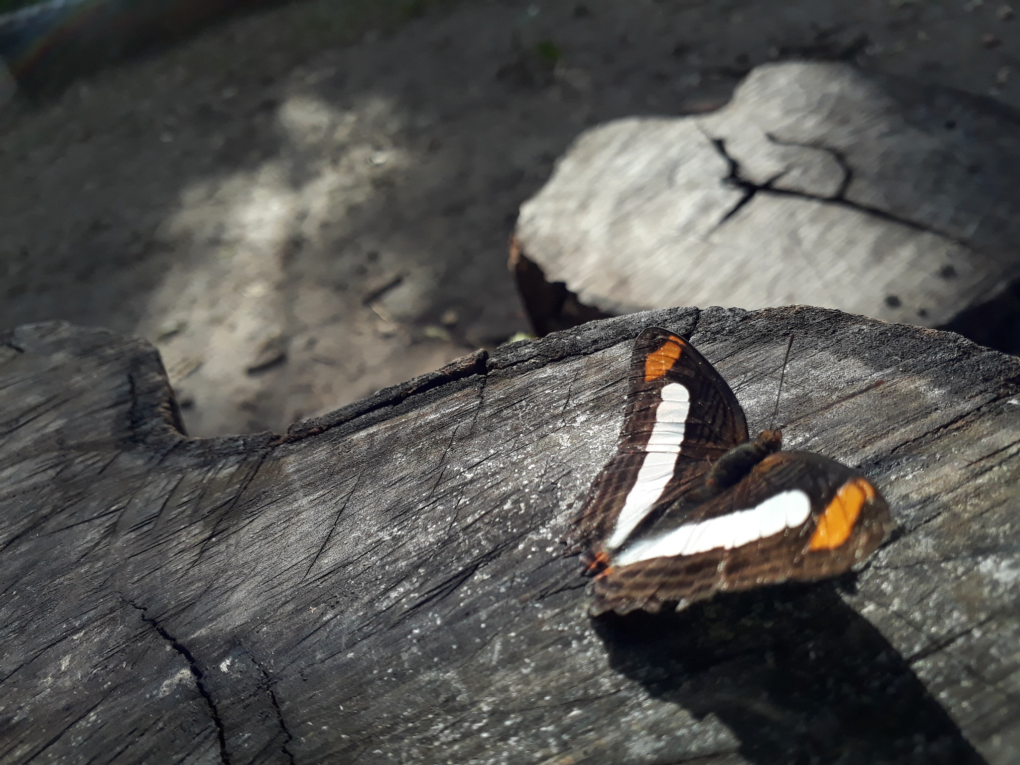 Samsung Galaxy J7 Prime sample photo