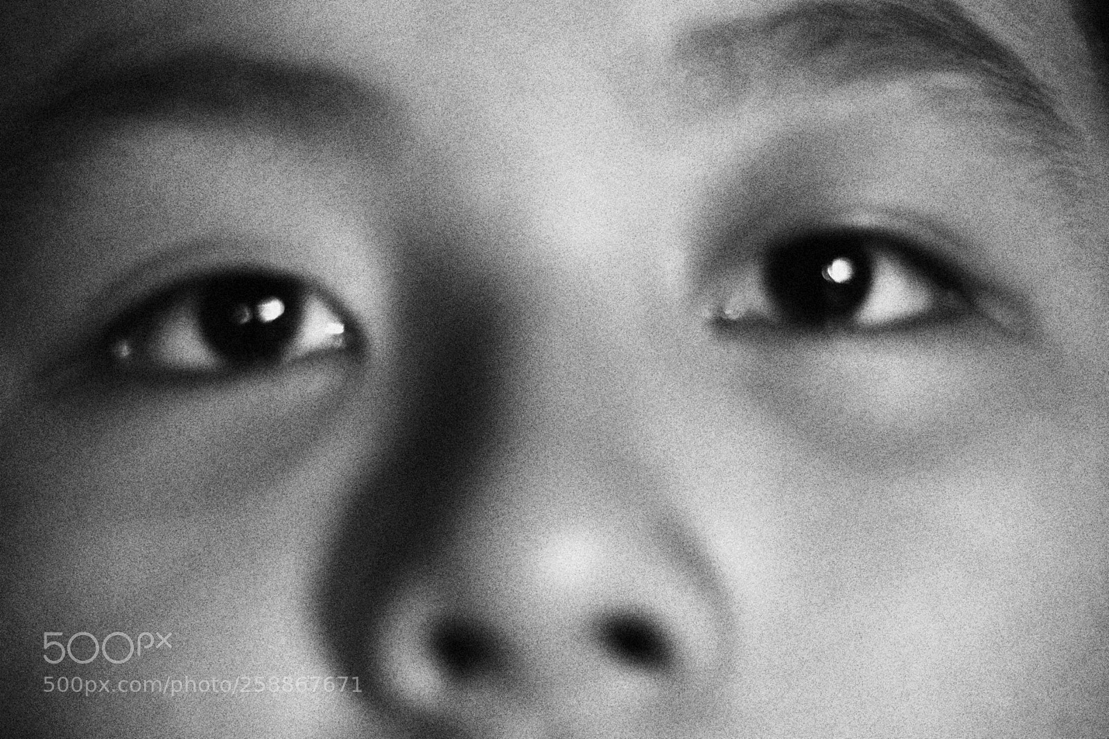 Canon EOS 80D + Canon EF 50mm F1.8 STM sample photo. Untitled photography