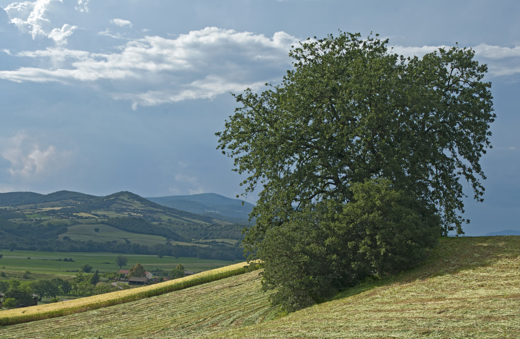 Pentax K20D sample photo. The lone giant photography