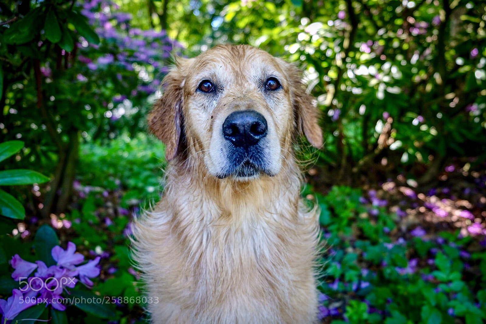 Fujifilm X-T20 sample photo. Untitled photography