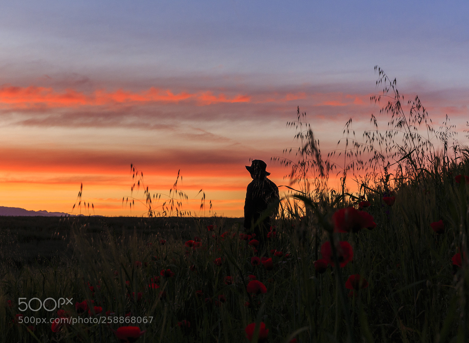 Canon EOS 6D sample photo. Silhouette of a man photography
